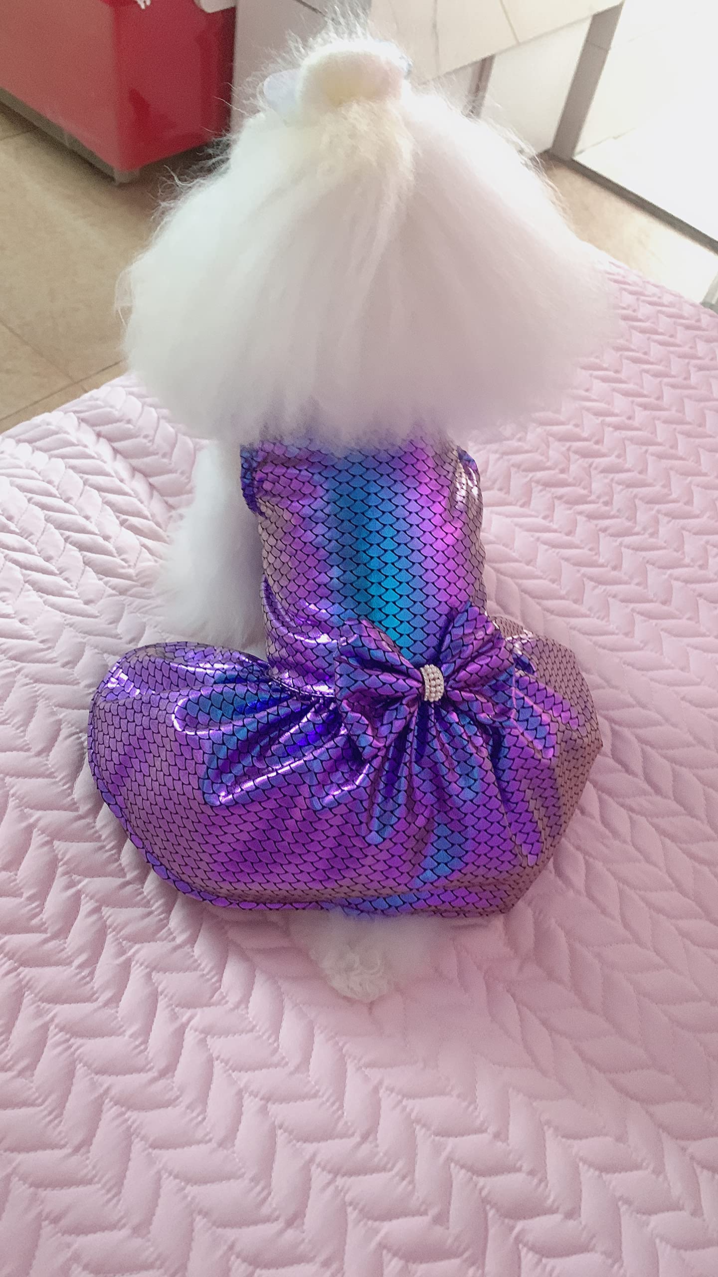 Cutebone Dog Dresses Bling Mermaid Summer Puppy Clothes For Medium Dogs Girl Sequins Skirt Dd10L
