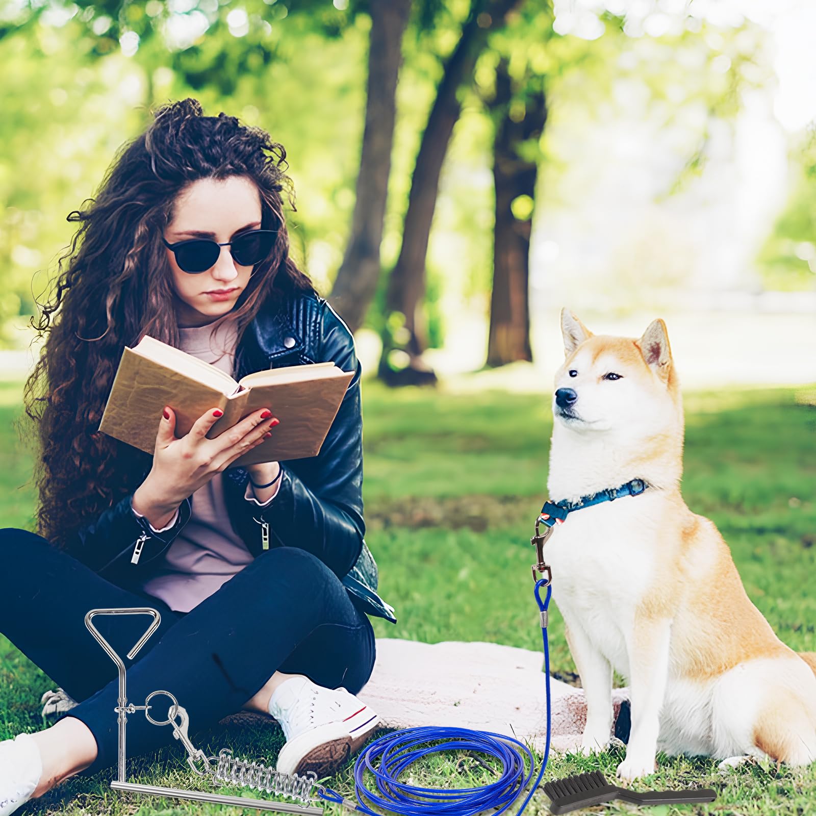 6 Pcs Dog Tie Out Cable And Stake, 23Ft Dog Leads For Yard Heavy Duty, 16'' Dogs Tie Out Stake For Yard, Lawn Beach, Camping, Su