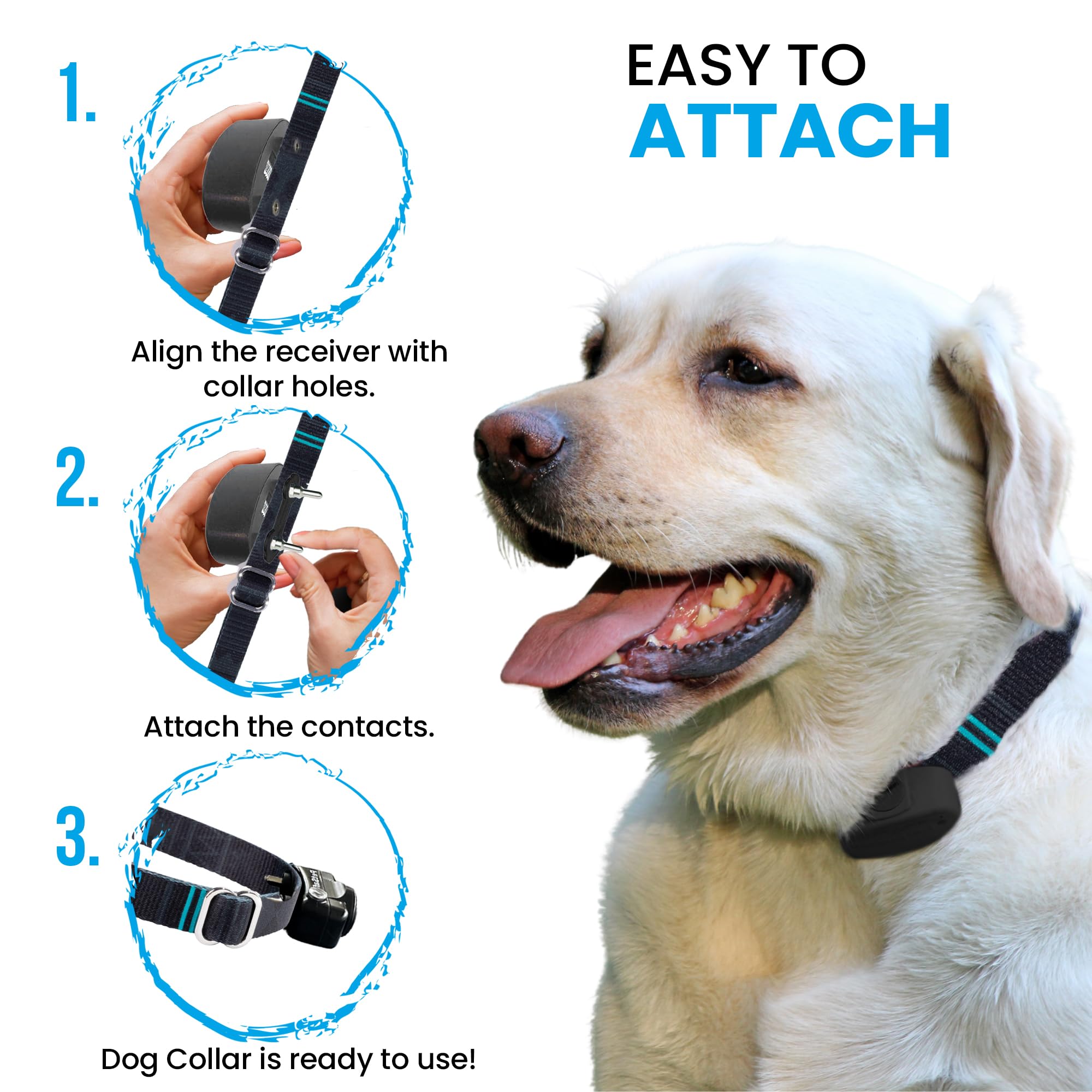 Replacement Strap For E-Collars - Compatible With Petsafe, Invisible Fence, And Other Shock Collars - Medium Size, Summit Design