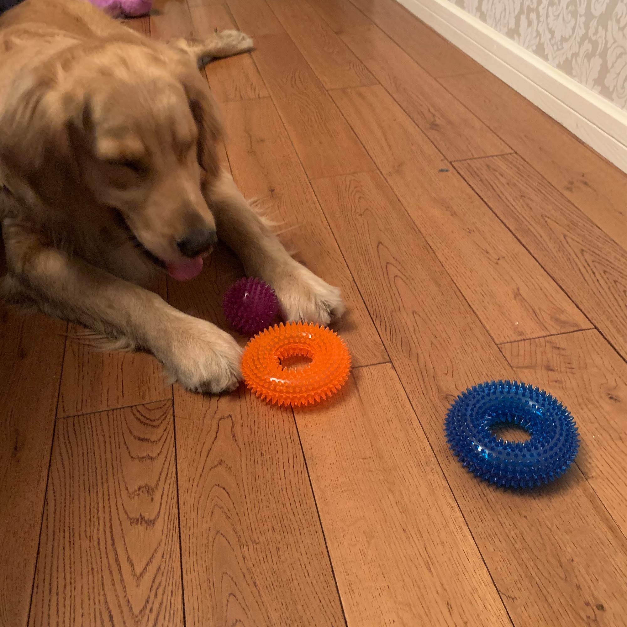 6 PACK - Dog Squeaky Toys 2.6'' Value Set Non-Toxic Dog Squeaky Balls Toss Fetch Toys for Dogs TPR Rubber Puppy Toys Spikey Dog