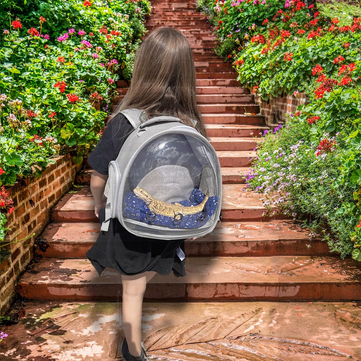 Leopard Gecko Travel Carrier,Bearded Dragon Travel Backpack With Harness And Leash Set,Space Capsule Clear Bubble Window Astrona