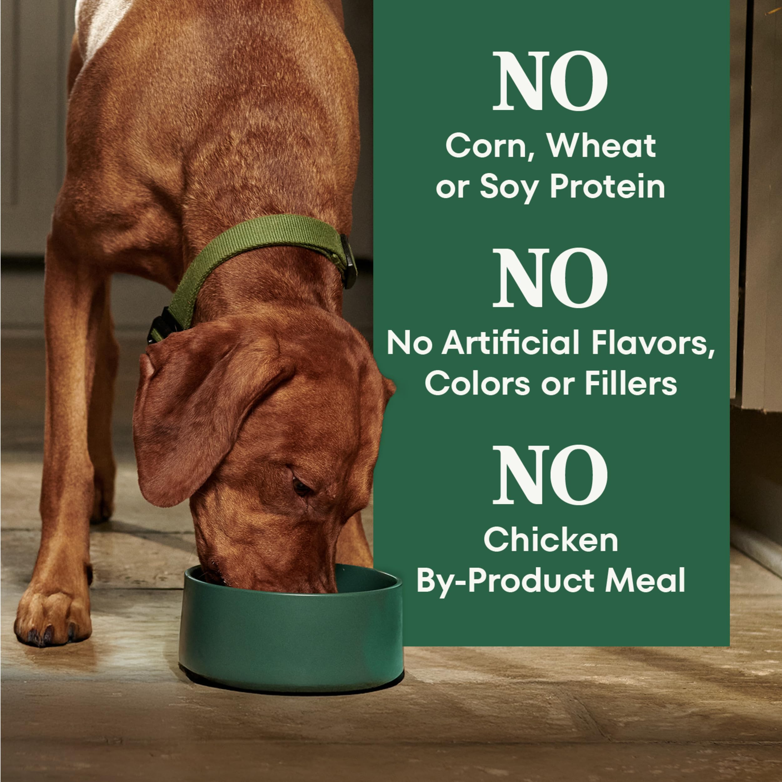 Nutro Natural Choice Adult Dry Dog Food, Beef and Brown Rice Recipe, 28 lbs.