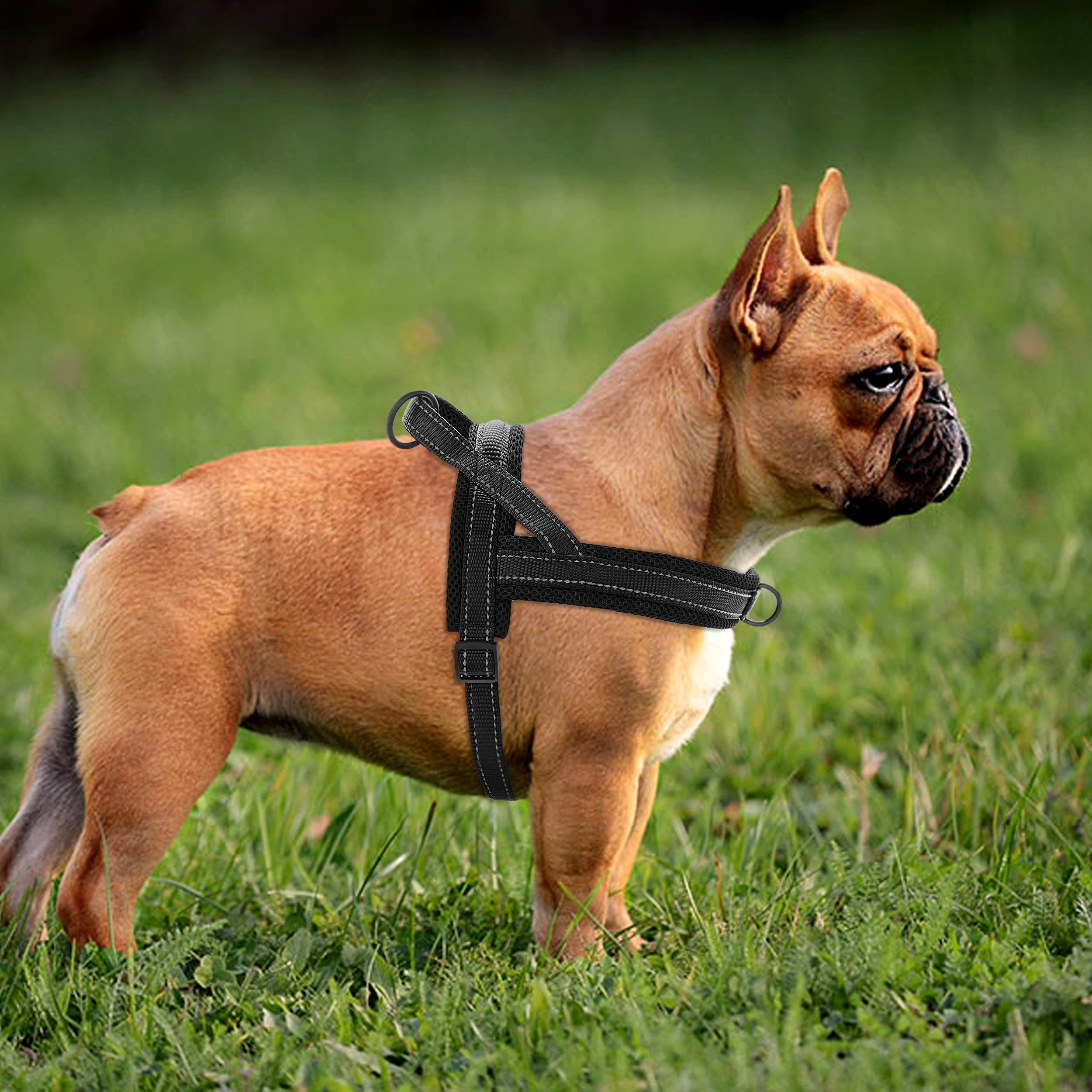 Didog Soft Mesh Padded Dog Vest Harness, Escape Proof/Quick Fit Reflective Dog Strap Harness,Easy For Walking Training (S:Chest 18-22', Mesh-Black)
