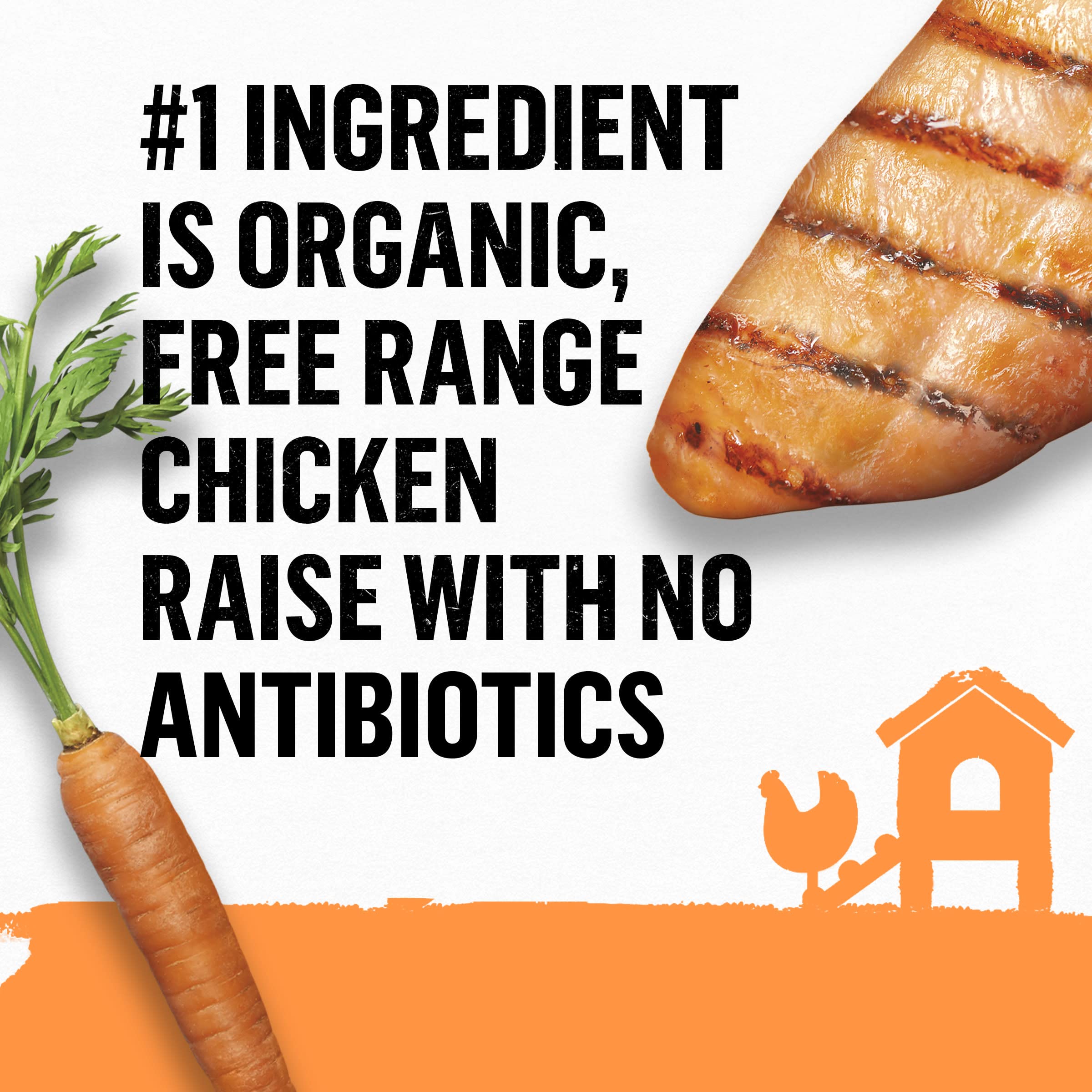 Purina Beyond Organic Wet Dog Food, Organic Chicken & Carrot Adult Recipe Ground Entr  e with Broth - (Pack of 12) 13 oz. Cans