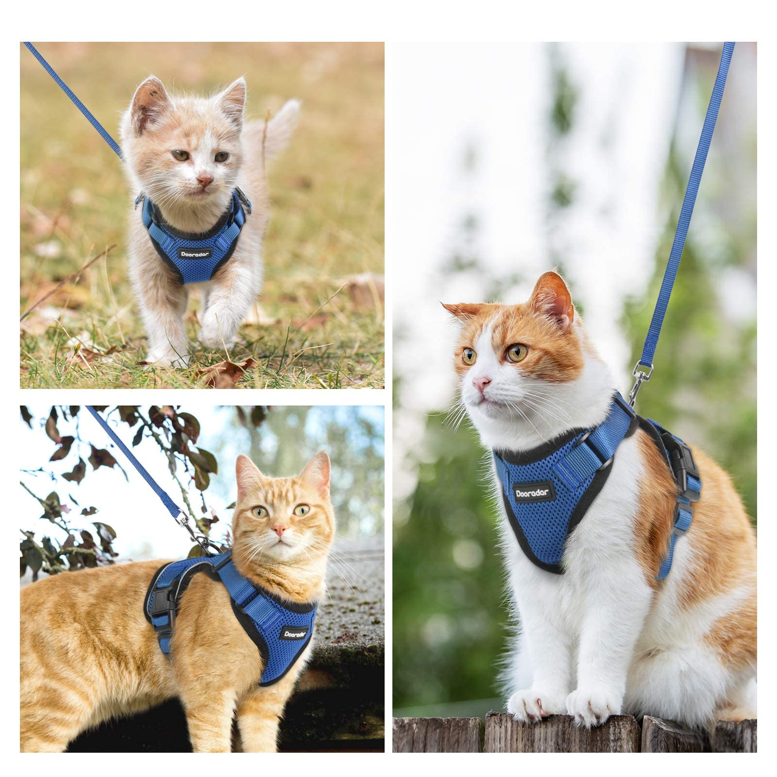 Dooradar Cat Harness and Leash Set, Adjustable XS Blue Nylon Vest with Reflective Strips, Escape Proof for Safe Walking