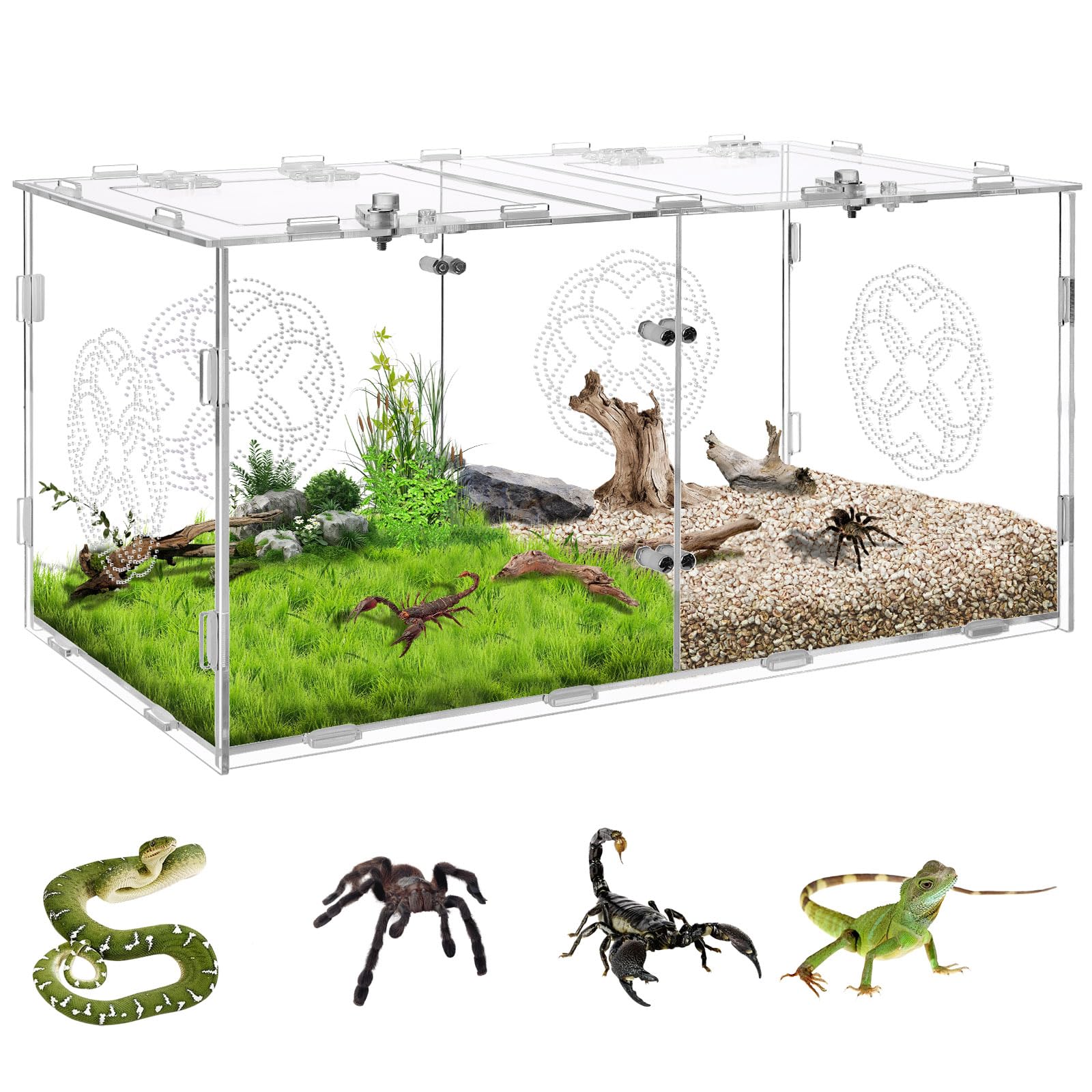 Acrylic Jumping Spider Enclosure With Double Compartments, Large Size,15.7 * 7.8 * 7.8 Inches, Reptile Terrarium Aquarium Breedi