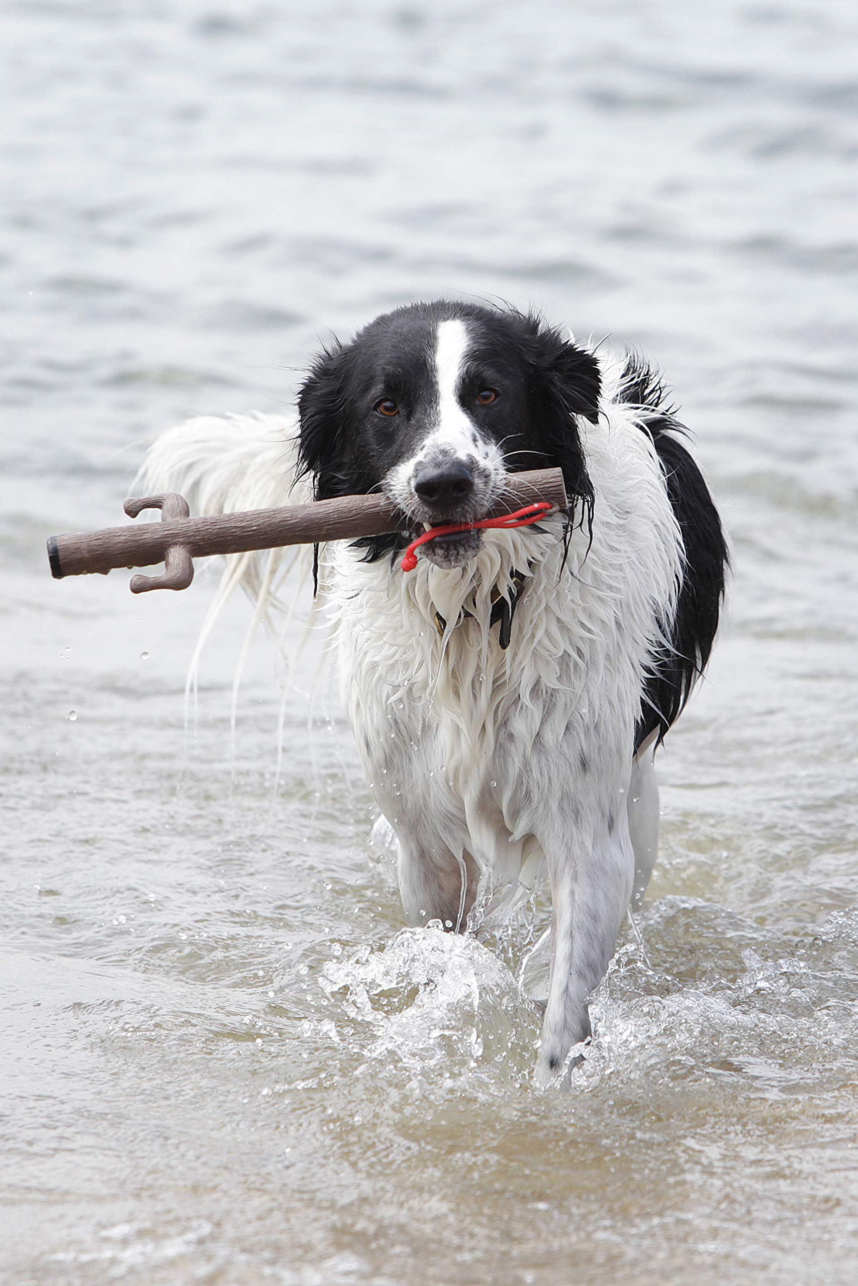 Doog Barkley Fetch Stick - Safe And Splinter-Free Rubber Dog Toy, Lightweight, Durable, And Floatable - Perfect For Active Dogs,