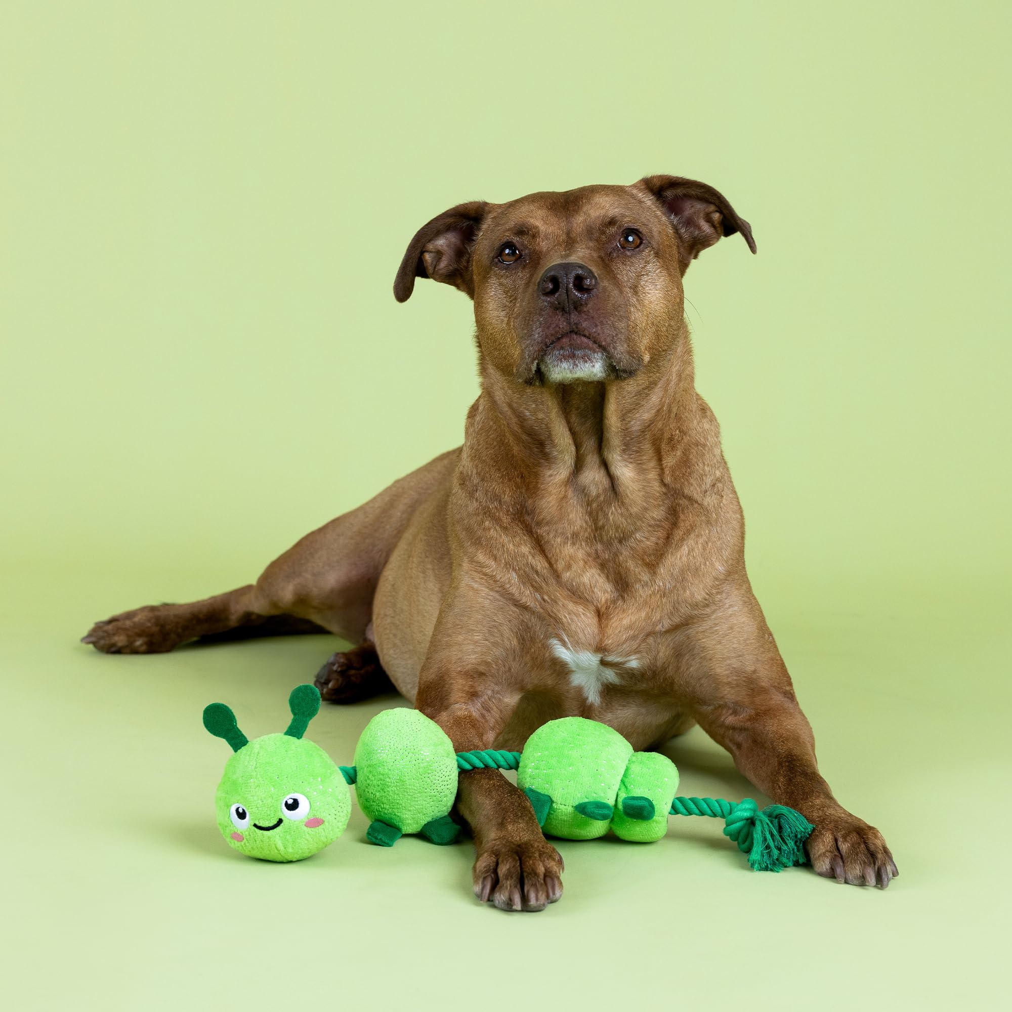 Fringe Studio ''Pillar of Society Plush Dog Toy, Pet Shop Collection (314370)