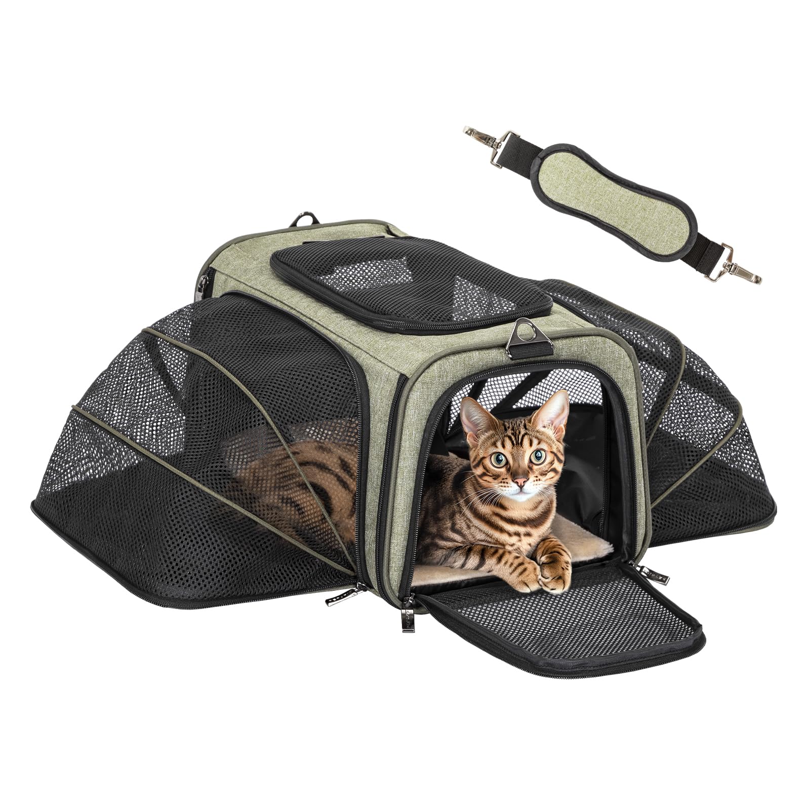 Petsfit 16 Expandable Rabbit Carrier - Airline Approved, Green, Soft Washable Cushion, Self-Locking Zipper, Built-in Safety Rope, Travel Friendly