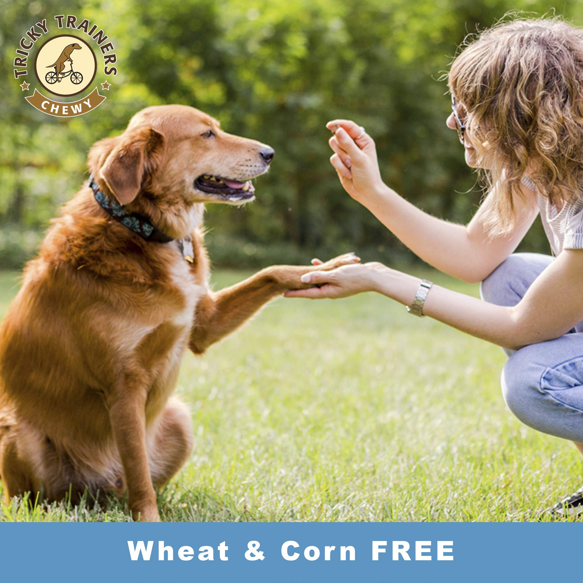 Cloud Star Tricky Trainers Chewy Dog Treats - Whole Grain Soft for Training, 14 Ounce (Pack of 2)