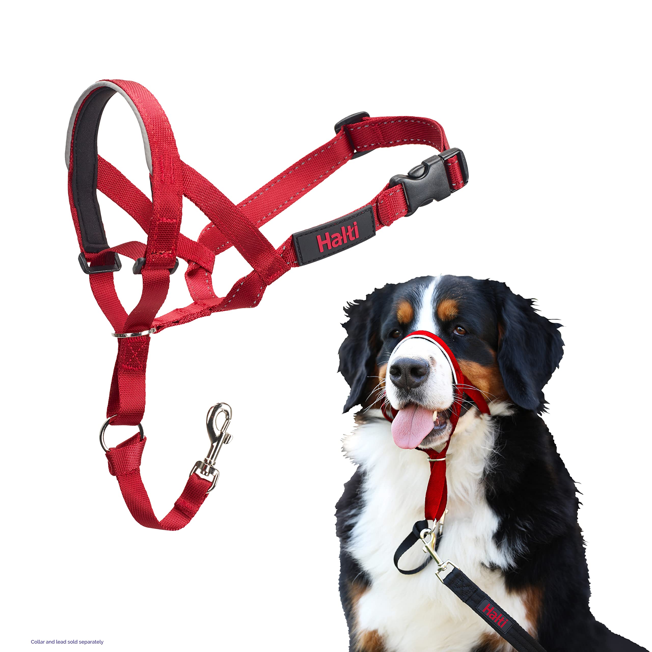 Company Of Animals Halti Headcollar - To Stop Your Dog Pulling On The Leash. Adjustable, Reflective And Lightweight, With Padded