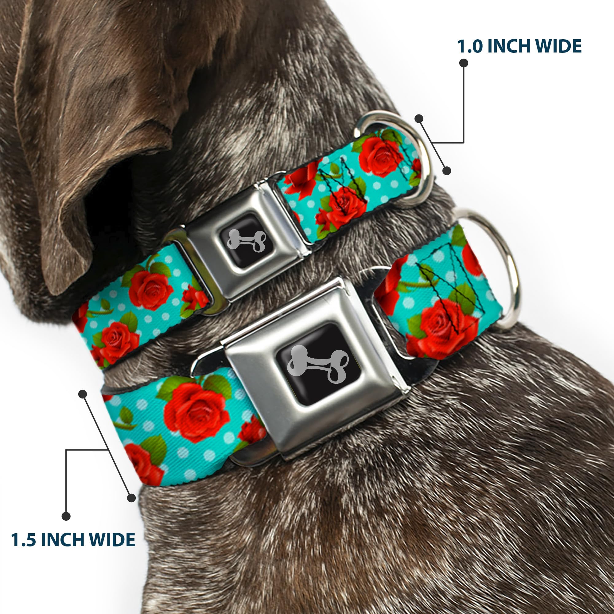 Buckle-Down Seatbelt Buckle Dog Collar - Red Roses/Polka Dots Turquoise - 1.5' Wide - Fits 18-32' Neck - Large