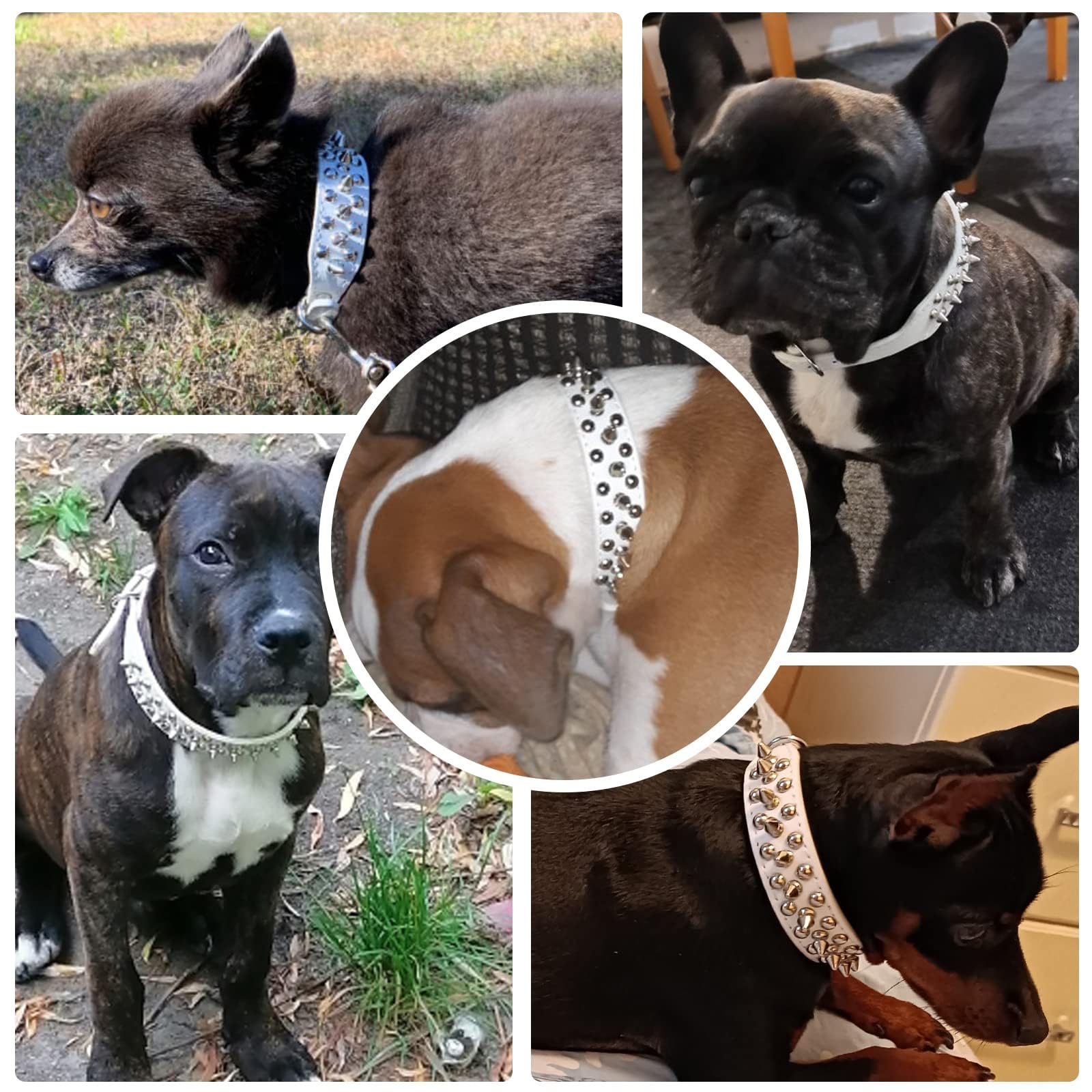 Doggyzstyle Spiked Studded Leather Dog Cat Collar For Small Medium Large Dogs,Soft Adjustable White Pu Leather Cat Small Dog Collars, Durable Leather Puppy Collars For Chihuahua Yorkshire (White,Xxs)