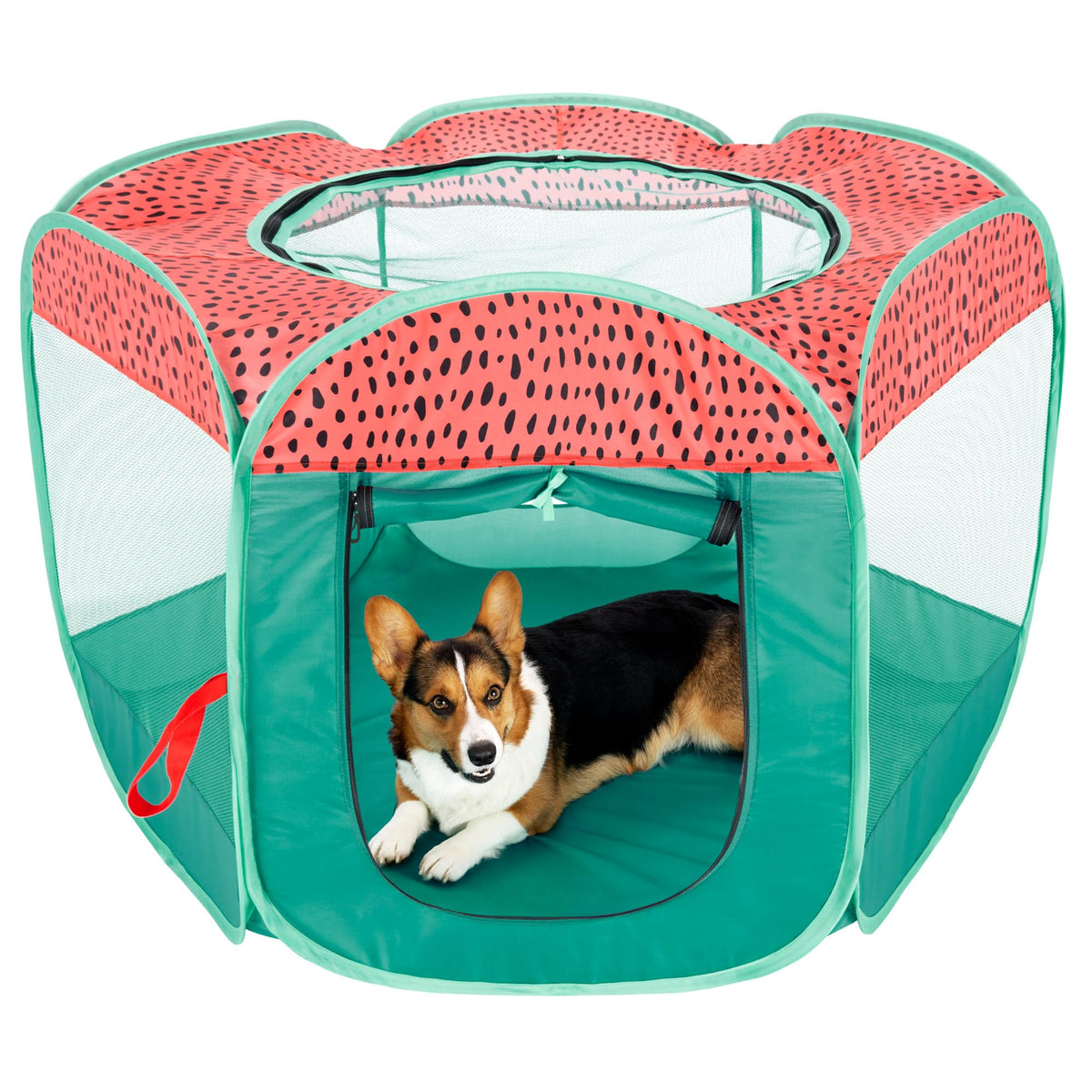 Furhaven Portable Dog Playpen Cat Tent, Pet Playground/Kennel Foldable Indoor Outdoor Zippered Puppy Crate - Green & Pink, Large