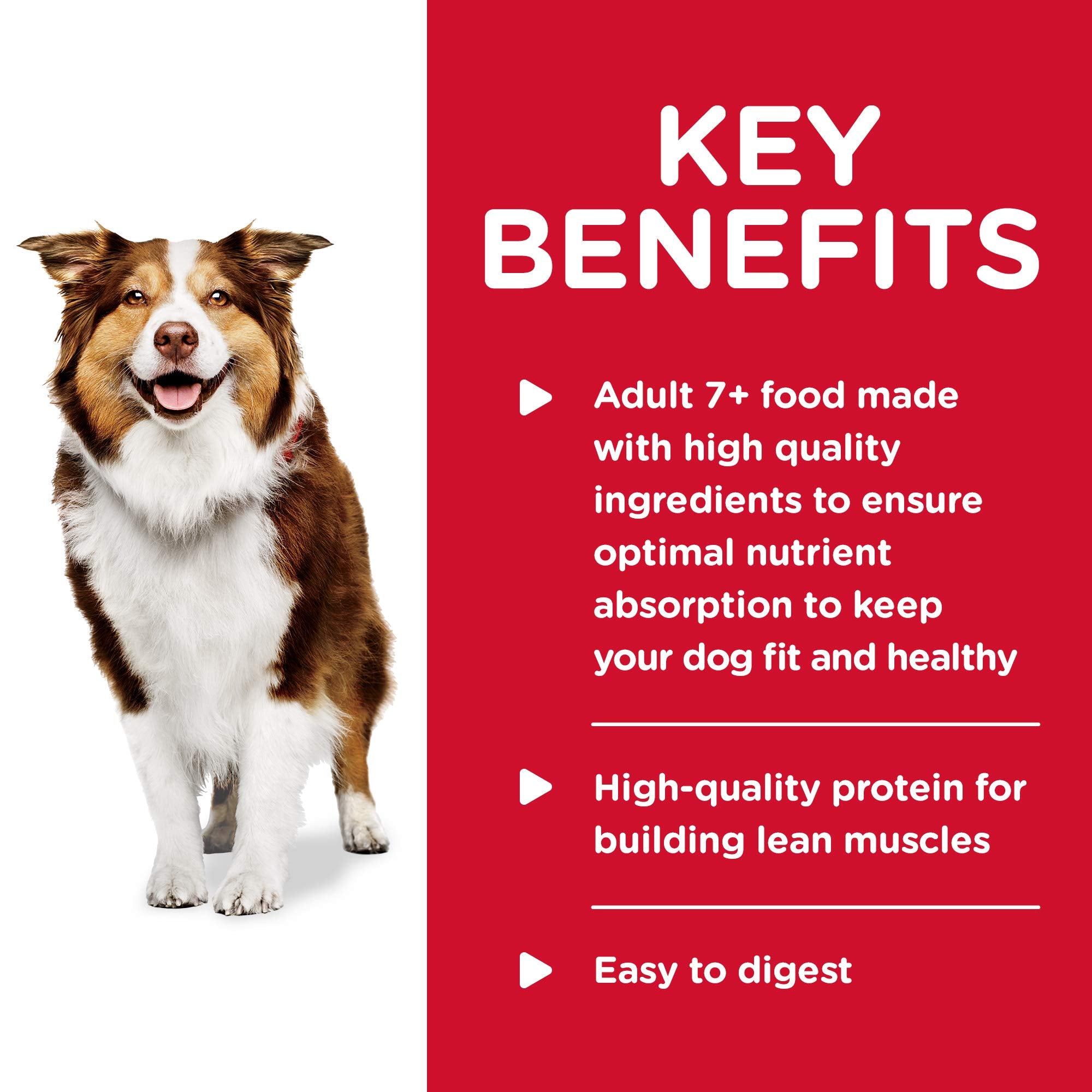 Hills Science Diet Healthy Cuisine, Senior Adult 7+, Senior Premium Nutrition, Wet Dog Food, Roasted Chicken, Carrots & Spinach