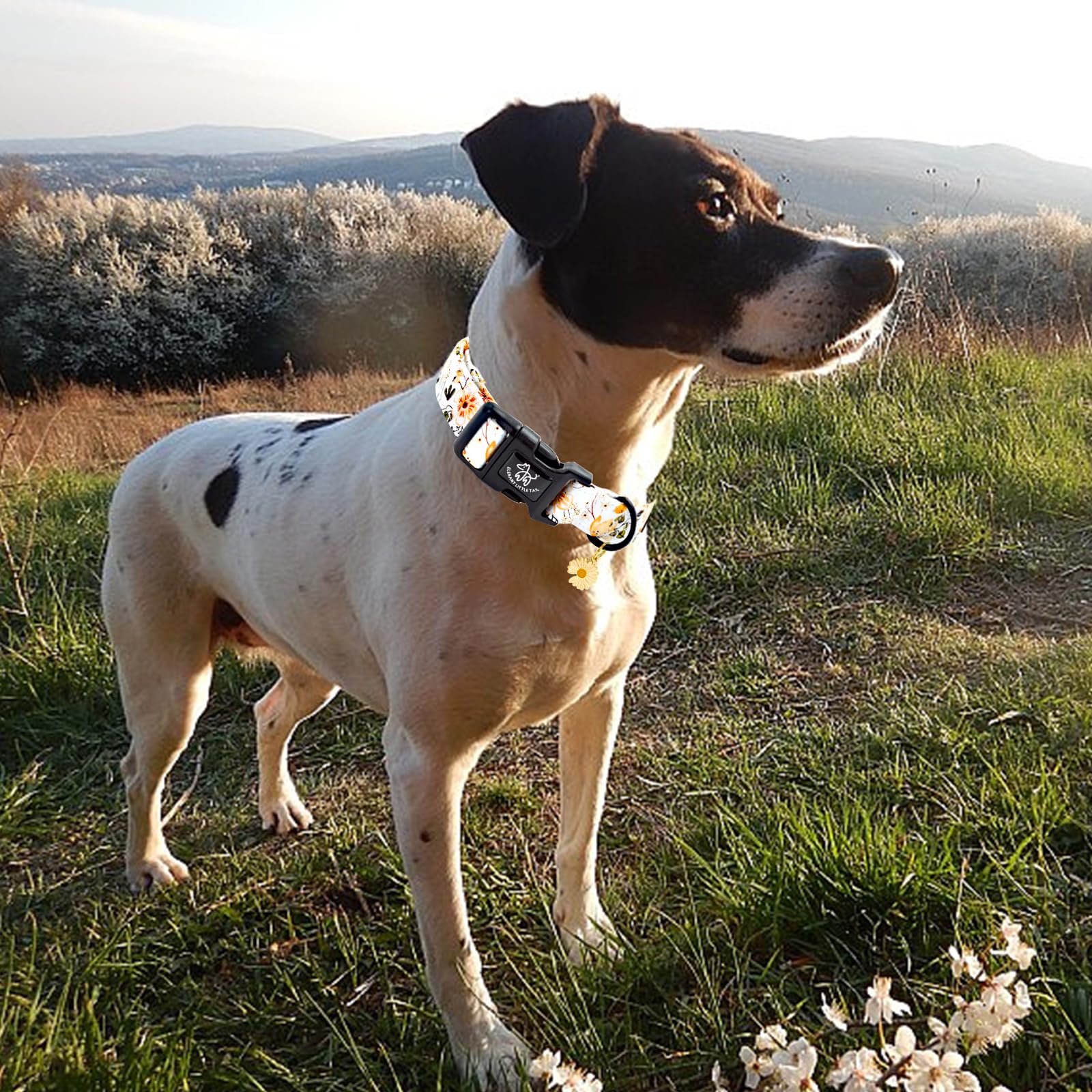 Elegant Little Tail Dog Collar, Flower Pattern Pet Collar Cute Durable Spring Female Or Male Adjustable Cotton Pet Collar With Q