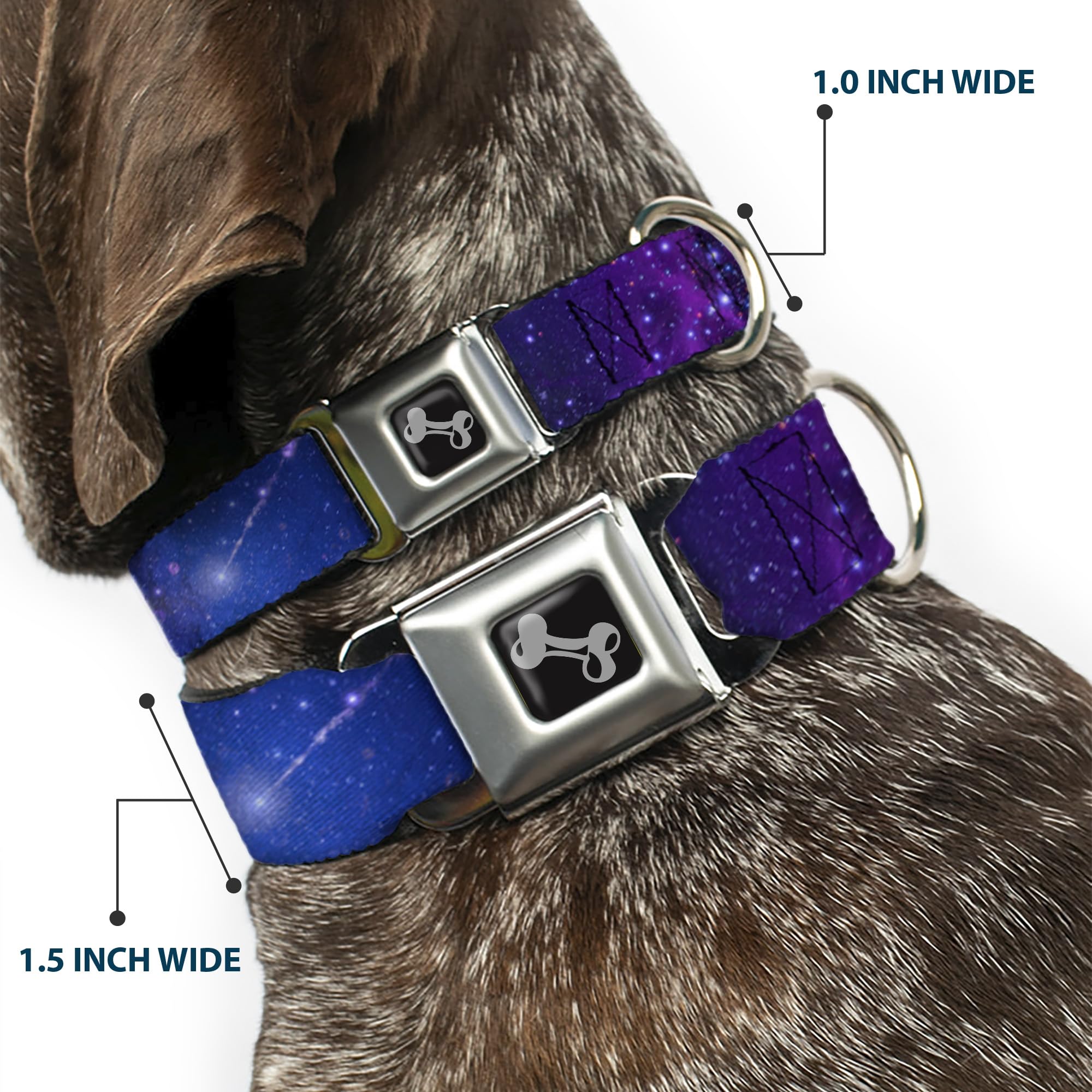 Dog Collar Seatbelt Buckle Galaxy Blues Purples 16 To 23 Inches 1.5 Inch Wide