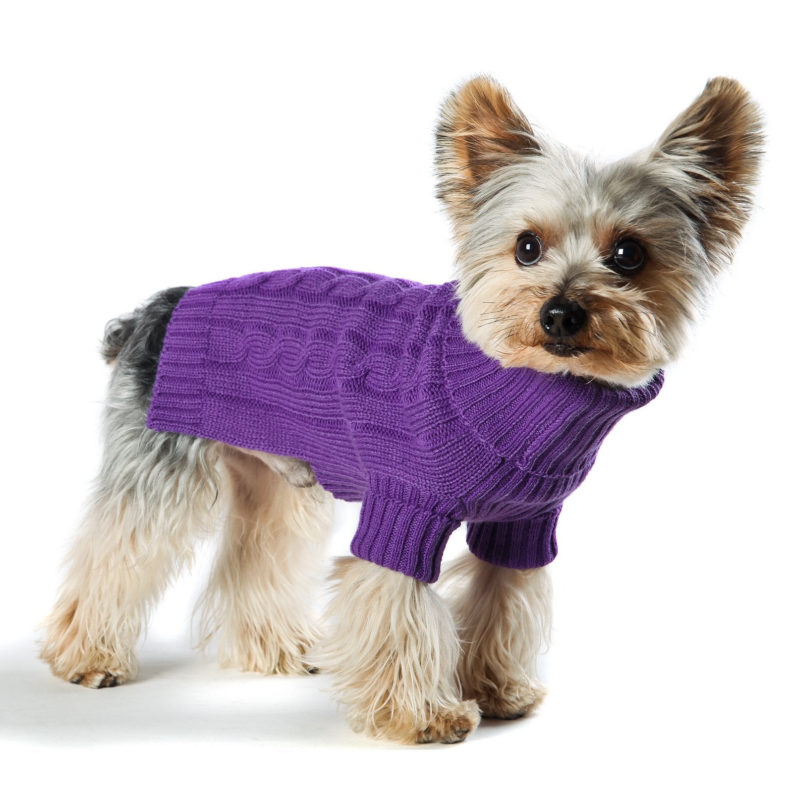 Stinky G Dog Sweater Turtleneck Purple Size #14