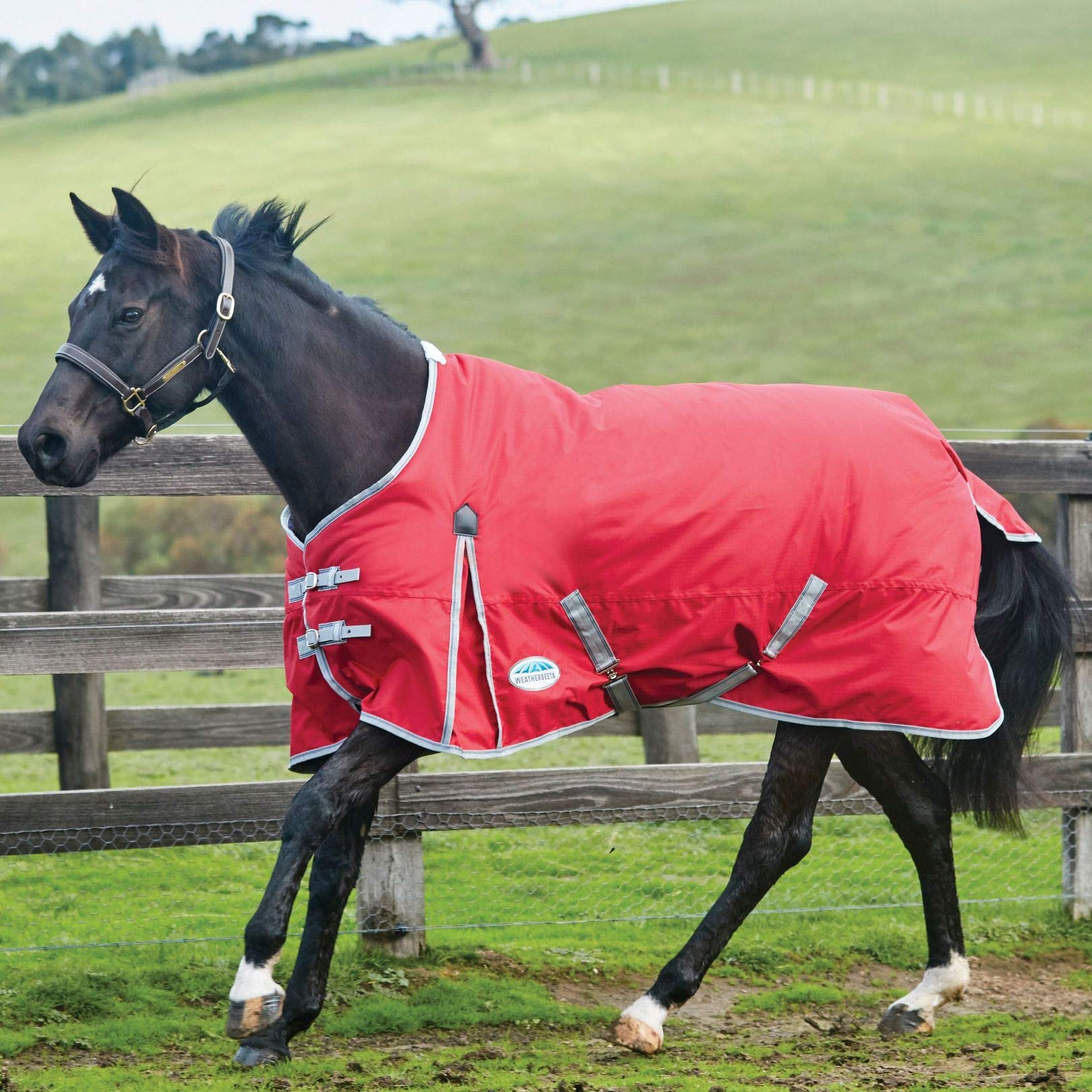 Weatherbeeta Comfitec Classic Standard Neck Lite Horse Blanket, Red/Silver/Navy, 75'