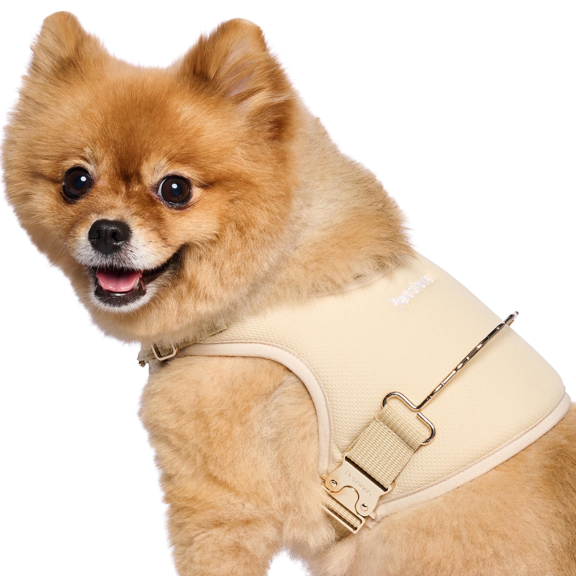Petcious Small Dog Lift Durable Harness 5-15Lbs 5Lb-7 3-5Lb Senior Dogs For Assist Hind Leg, Degenerative Baby Pet, Sling Myelop