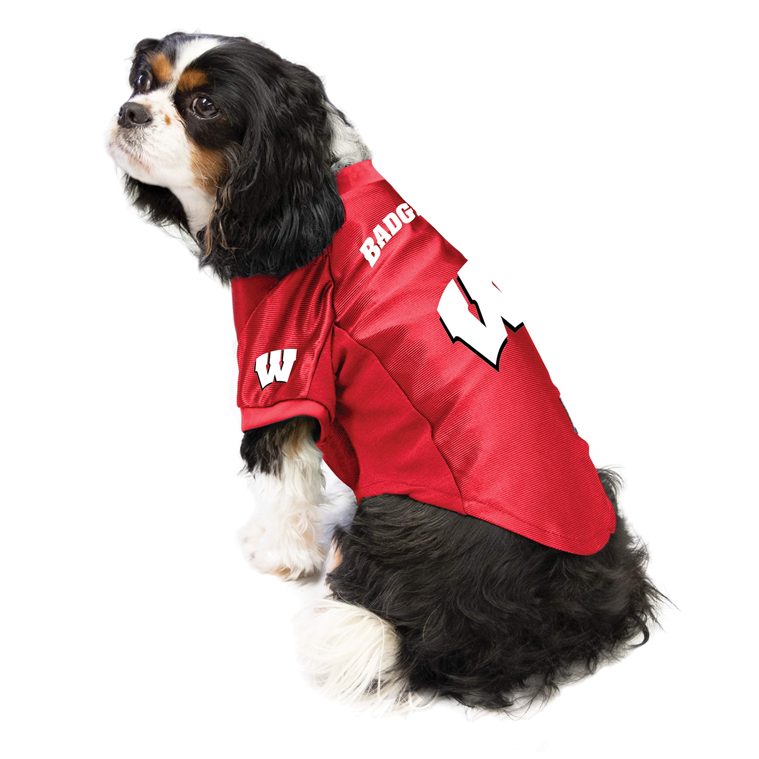 Littlearth Wisconsin Badgers Ncaa Stretch Pet Jersey