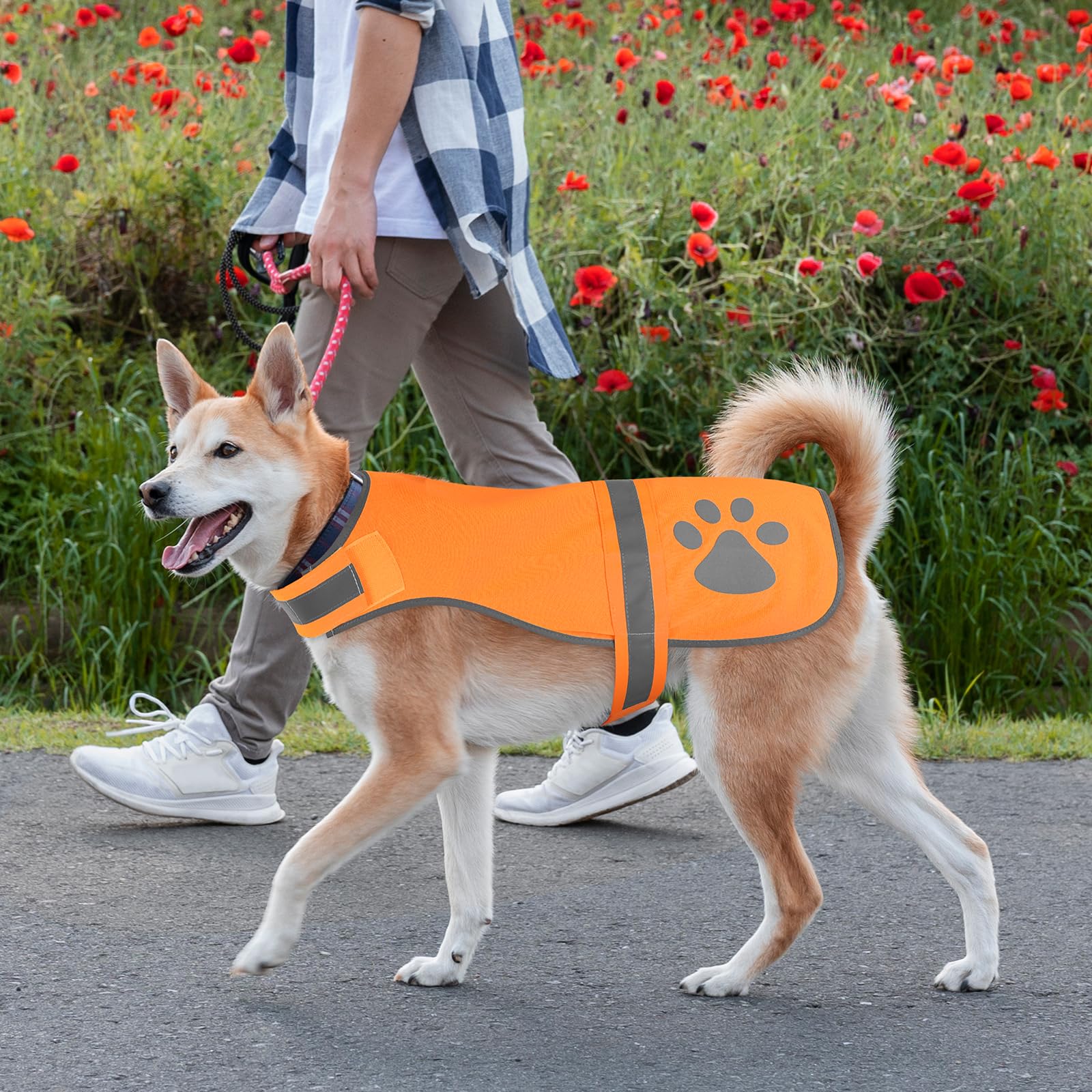 Candofly Reflective Dog Vest - High Visibility Fluorescent Safety Hunting Vest Dog Jacket For Night Walking & Camping (Orange, S