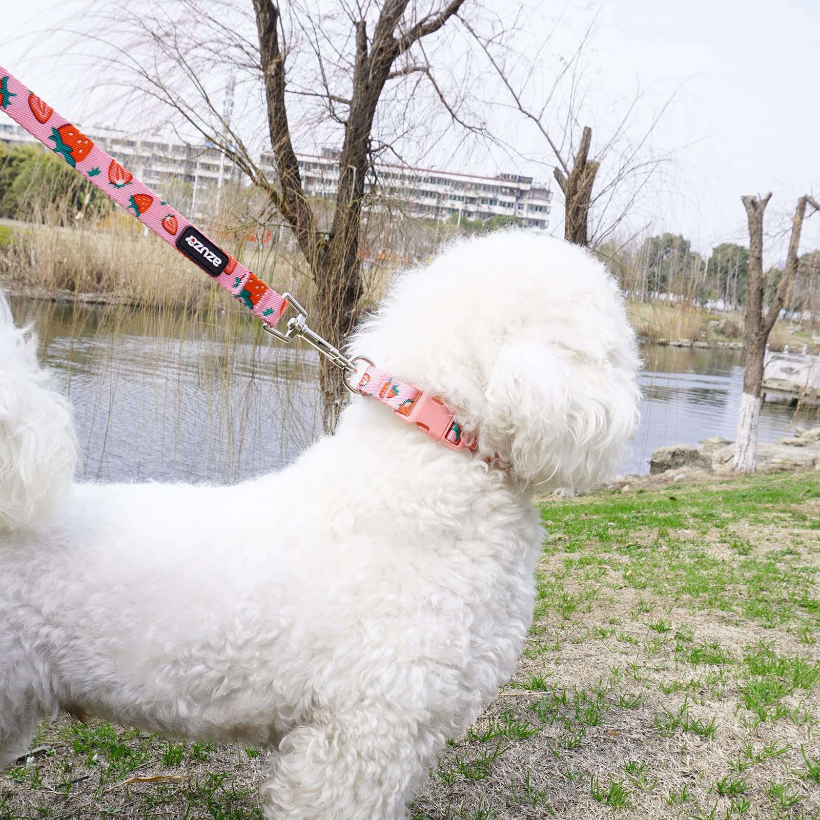 Azuza Dog Collar And Leash Set Strawberry Pattern On Pink Nylon Collar And Matching Leash, Great Option For Small Dogs