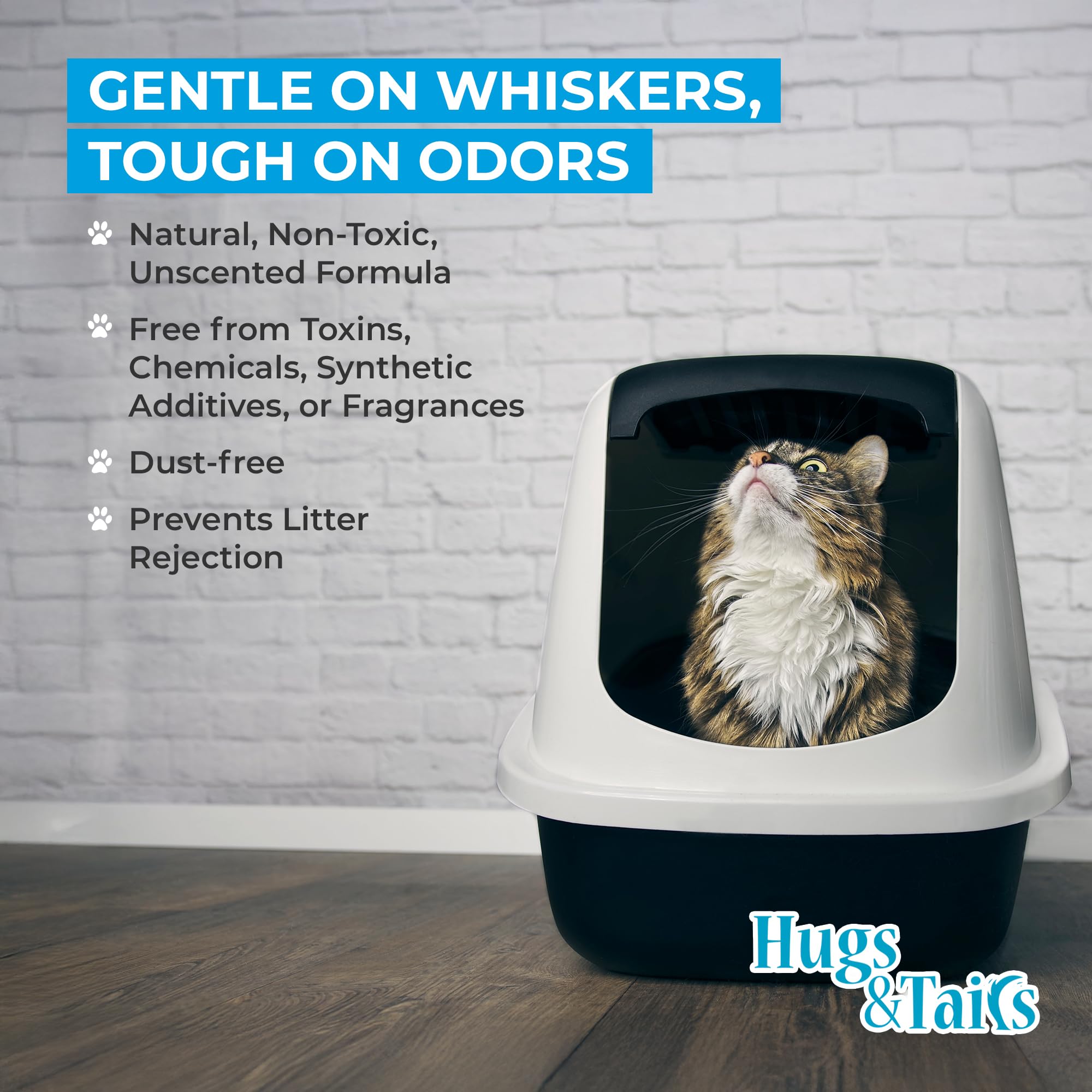Cat Litter Deodorizer, Pet Safe Litter Box Odor Eliminator & Housebreaking Aid for Cats, Kittens, & Small Pets, Natural Non Toxi