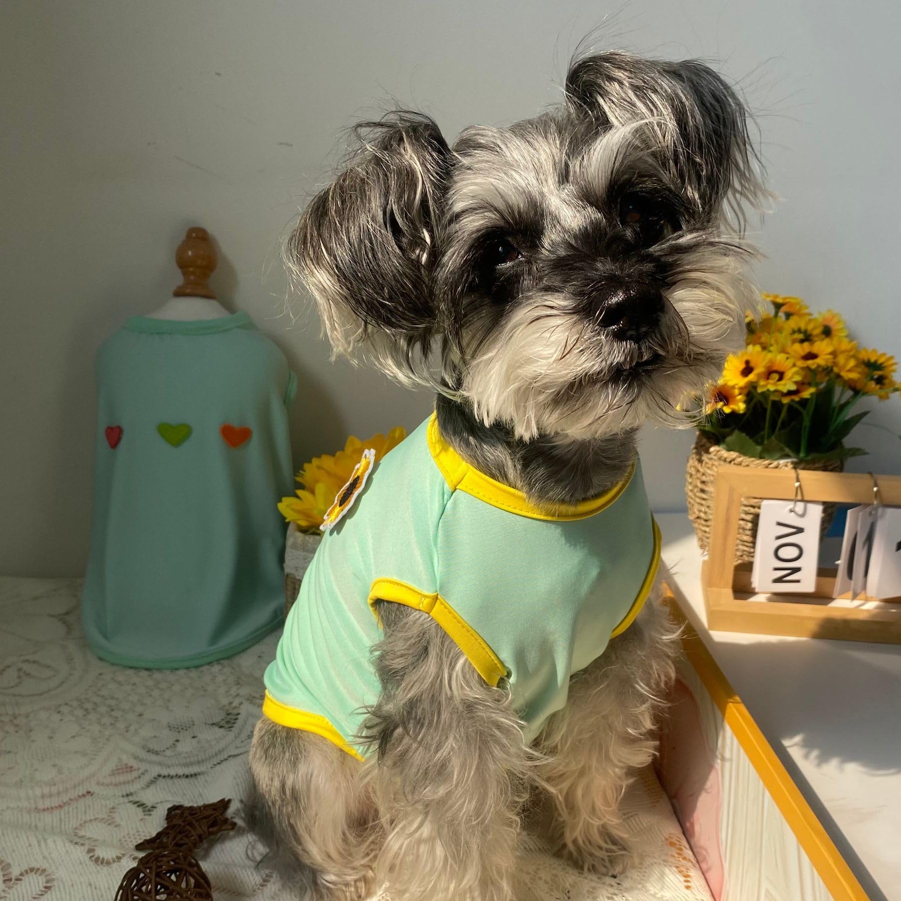 2Pcs Flower Printed Summer Dog Shirts For Small Medium Pet T Shirt Girl Boy Clothes Soft Breathable