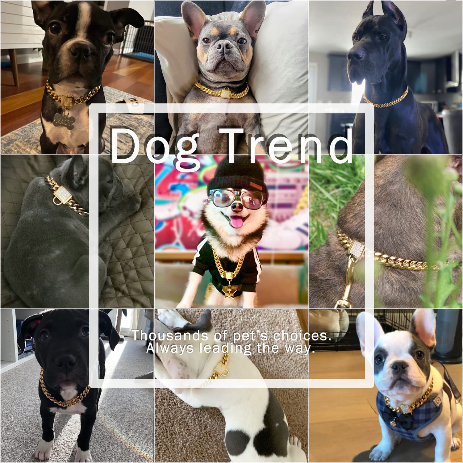 Designer Dog Collar Gold Metal Stainless Steel With Zirconia Lock 14Mm 18K Gold Big Dog Luxury Training Collar Cuban Lock Link N