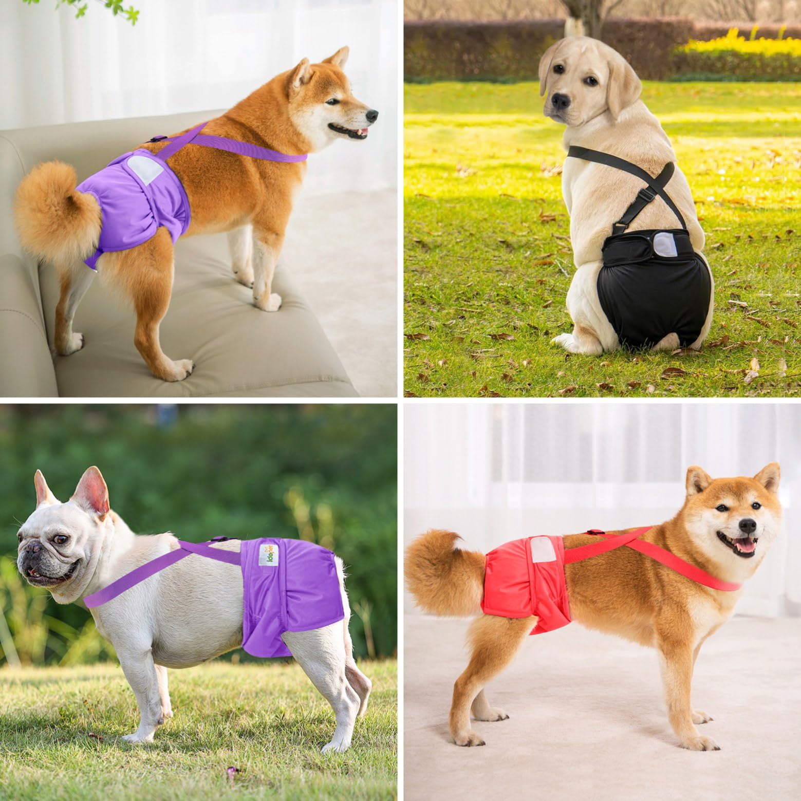 Idepet Female Dog Diapers With Suspender 3 Pack Washable Reusable Doggie Diapers For Small Medium Female Dog In Heat Period Cycl