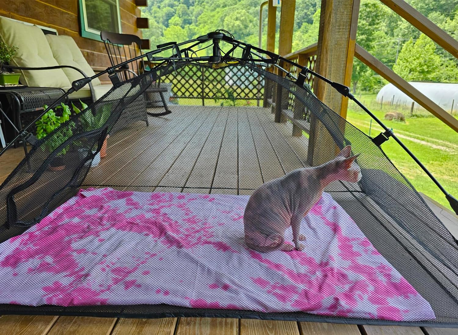 Betyman Outdoor Cat Tent For Outside Cat Enclosures Outdoor Pop Up Pet Playpen Playhouse (Play Tents For Small Animals) - Outsid