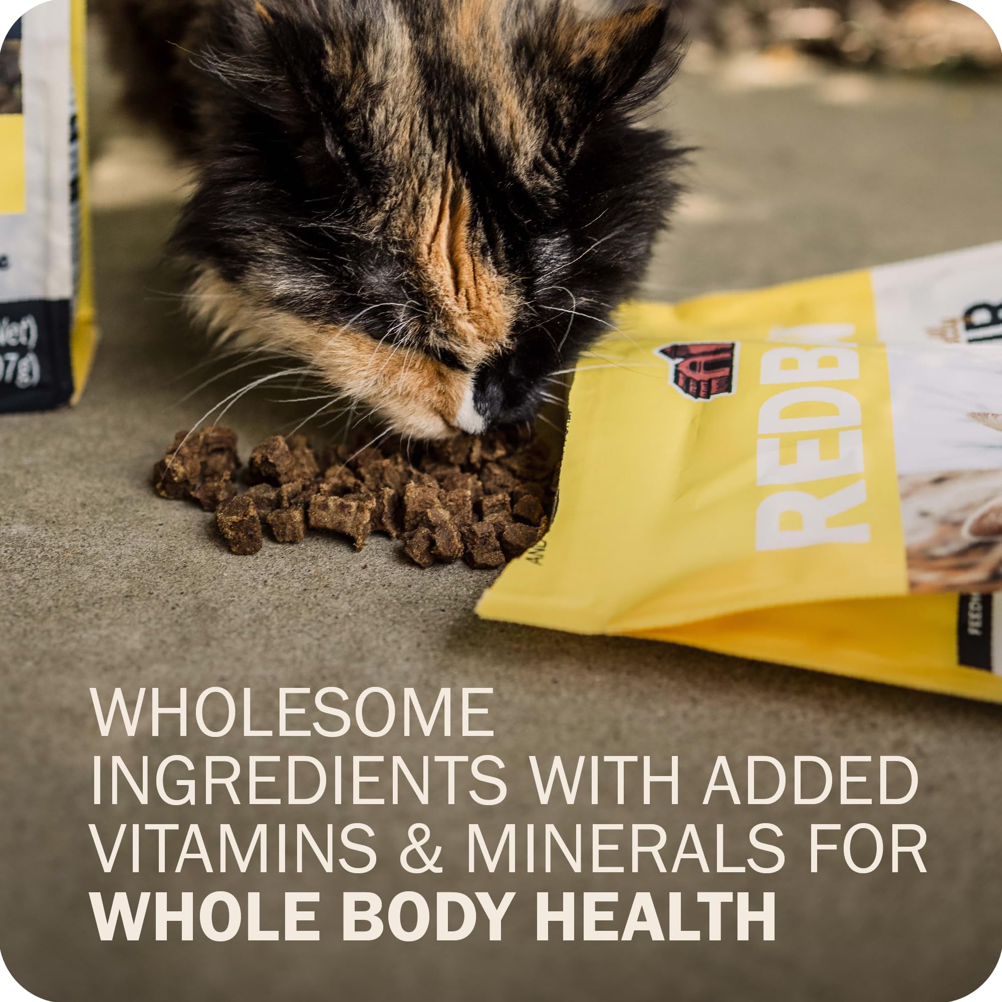Redbarn Air Dried Powerfood for Cats with Real Chicken - Made in USA High Protein, Grain-Free Dry Cat Kitten Food Full Meal or T