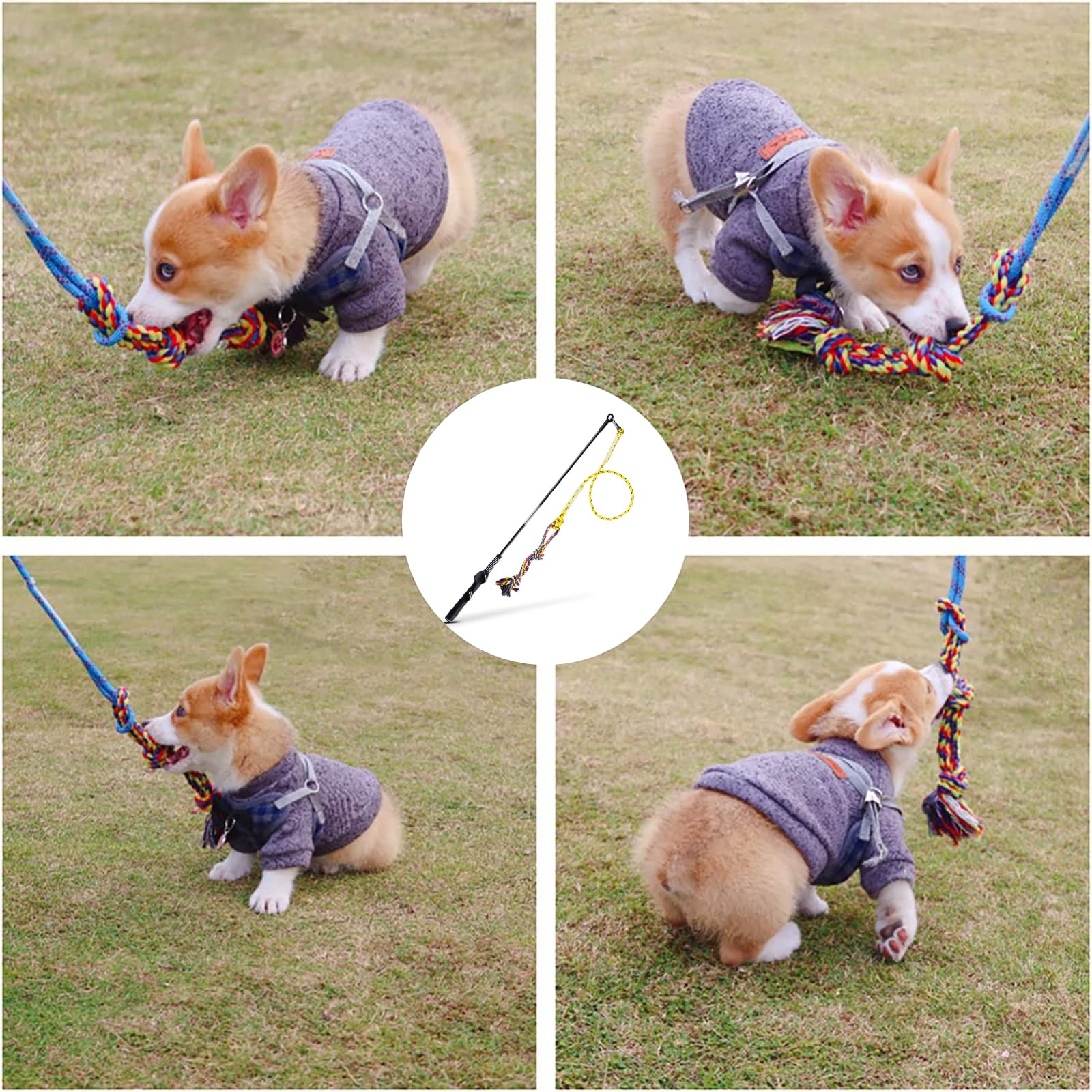 Dibbatu Flirt Pole For Dogs Interactive Dog Toys For Large Medium Small Dogs Chase And Tug Of War, Dog Teaser Wand With Lure Che