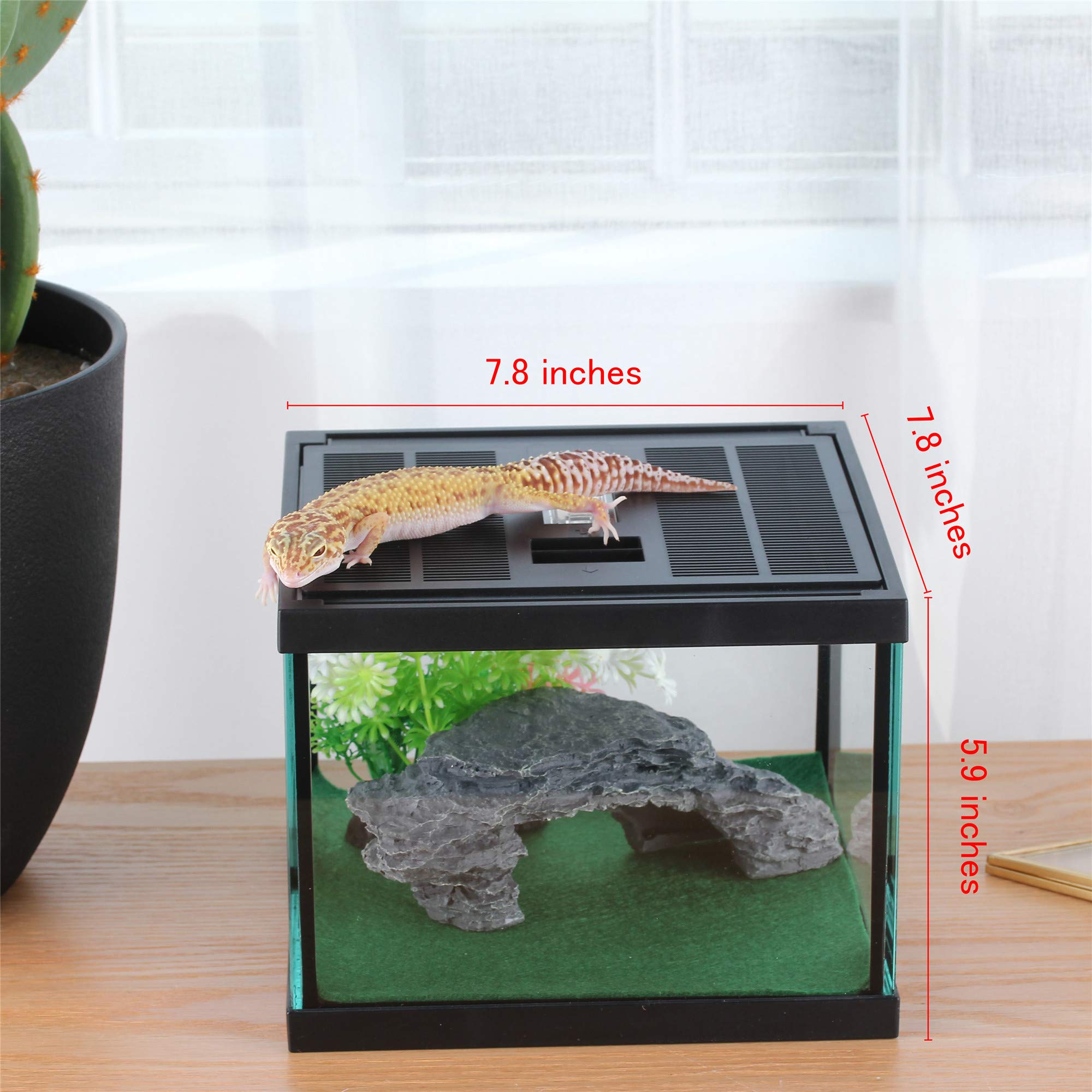 Crapelles Reptile Amphibians Tank, 7.8X7.8X5.9 Inches Terrarium Glass Box For Small Pet, Ventilation Transparency Clearly Visible Habitat