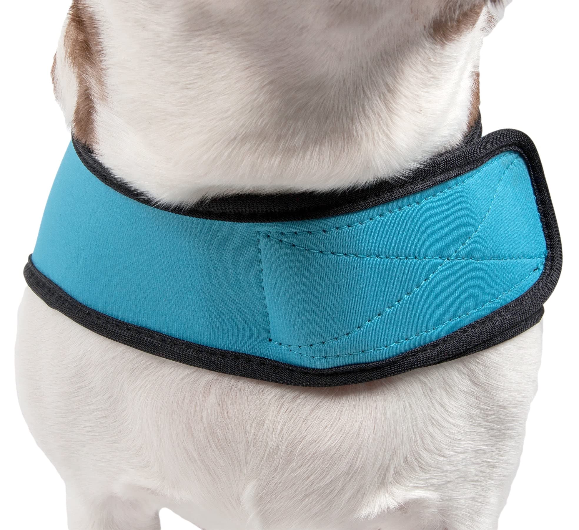 Extreme Neoprene Multi-Purpose Protective Shell Dog Coat(D0102H7LBEY.)