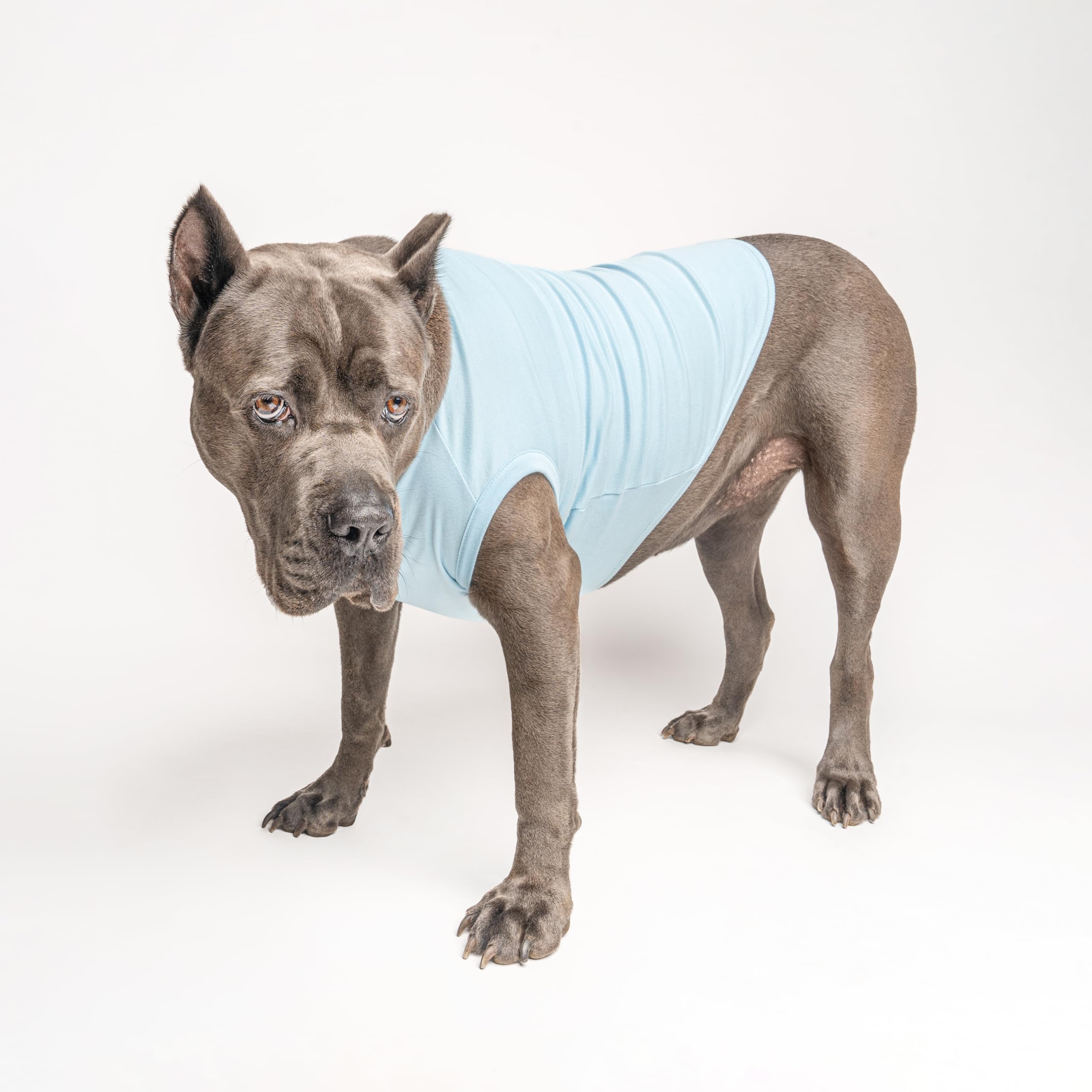 Love My Grandma Mother'S Day, Valentine'S Day Dog Tee Shirt Sizes For Puppies, Toys, And Large Breeds (Baby Blue, 6X-Large 399)