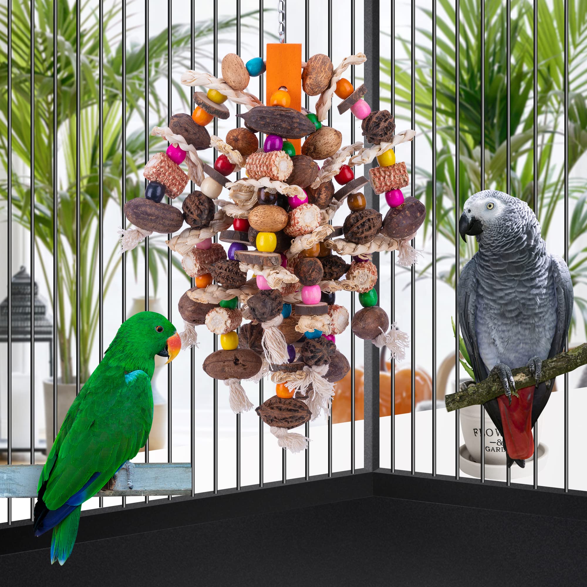 Deloky Large Parrot Bird Chewing Toys-Natural Nuts Corn Parrot Tearing Toy-Wooden Bird Cage Toy For African Grey,Macaws Cokatoos,Amazon Parrots And Other Large Birds