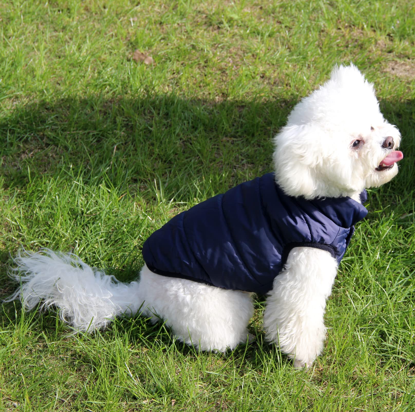 JoyDaog Warm Dog Jacket, Fleece Lined, Windproof, Small Size, Blue, Perfect for Winter Cold Weather