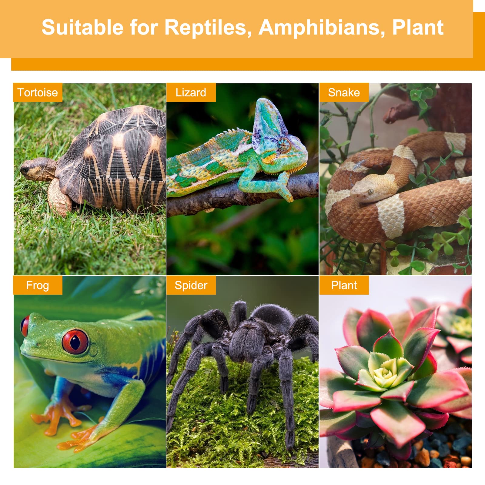 Catcan 50W Reptile Heat Lamps, Uva Uvb Reptile Light With 2 Heat Bulbs, 360°Rotatable Clips Adjustable Switch Heat Lamp For Turtle Lizard Snake Aquarium Amphibian