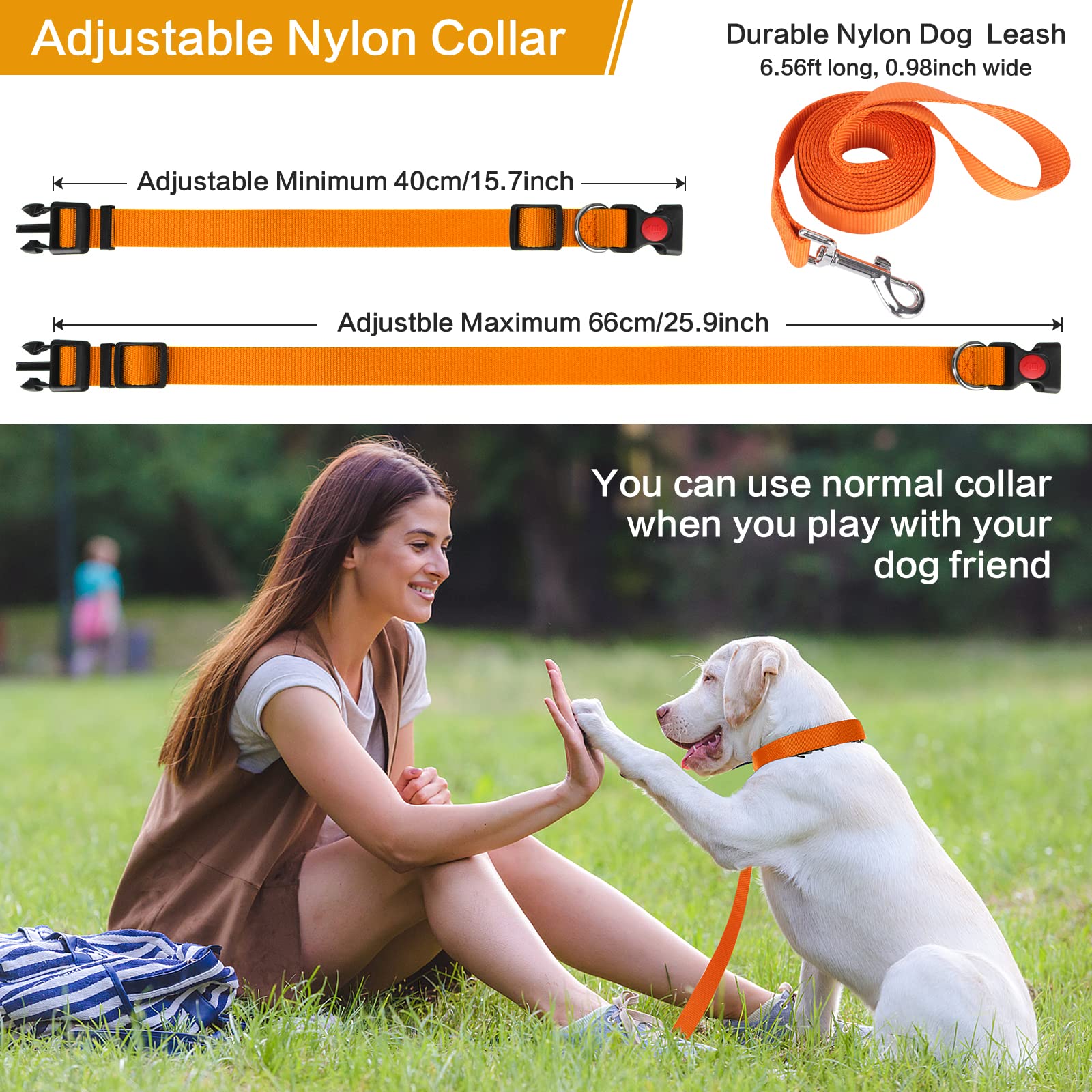 Prong Training Collar With Nylon Cover Comfort Tips, Quick Release Snap Buckle, Classic Collar and Leash