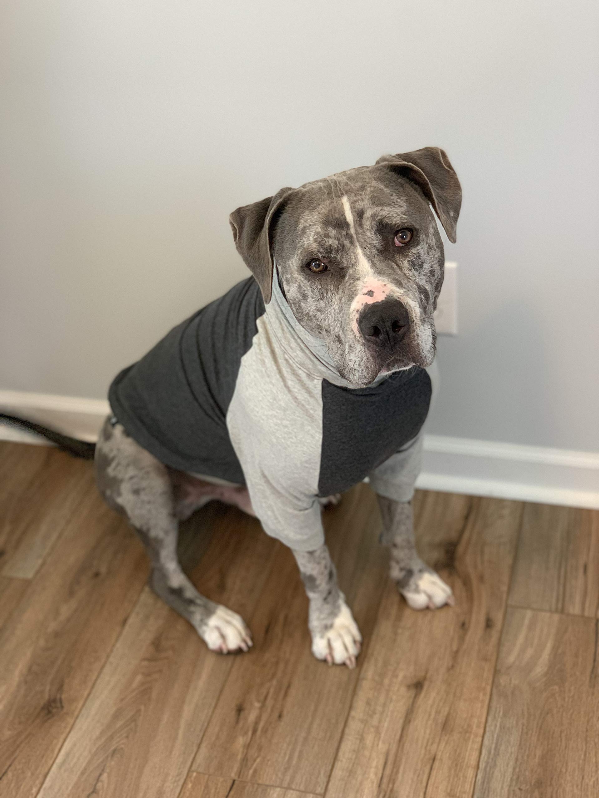 Tooth & Honey Large Dog Pullover Shirt – Breathable Cotton & Spandex Dog Shirt With Full Underbelly Coverage – Dark & Light Grey Large Dog Shirt For Allergy & Summer Protection (Large)
