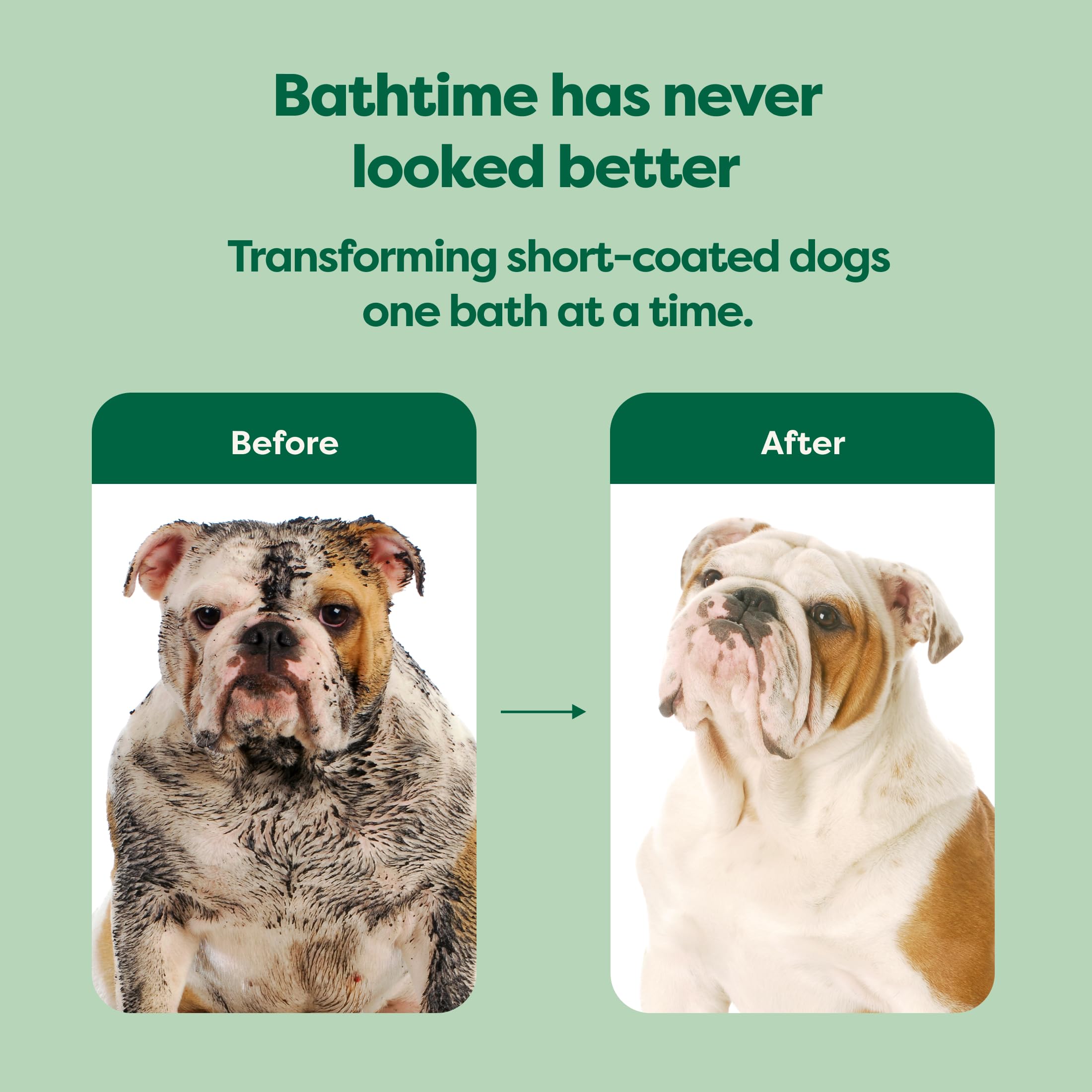 Earth Rated 3-In-1 Dog Shampoo, Conditioner And Deodorizer, For Short-Haired Dogs And Puppies To Moisturize And Tackle Shedding, Refreshing White Tea And Basil Scent, 16 Oz