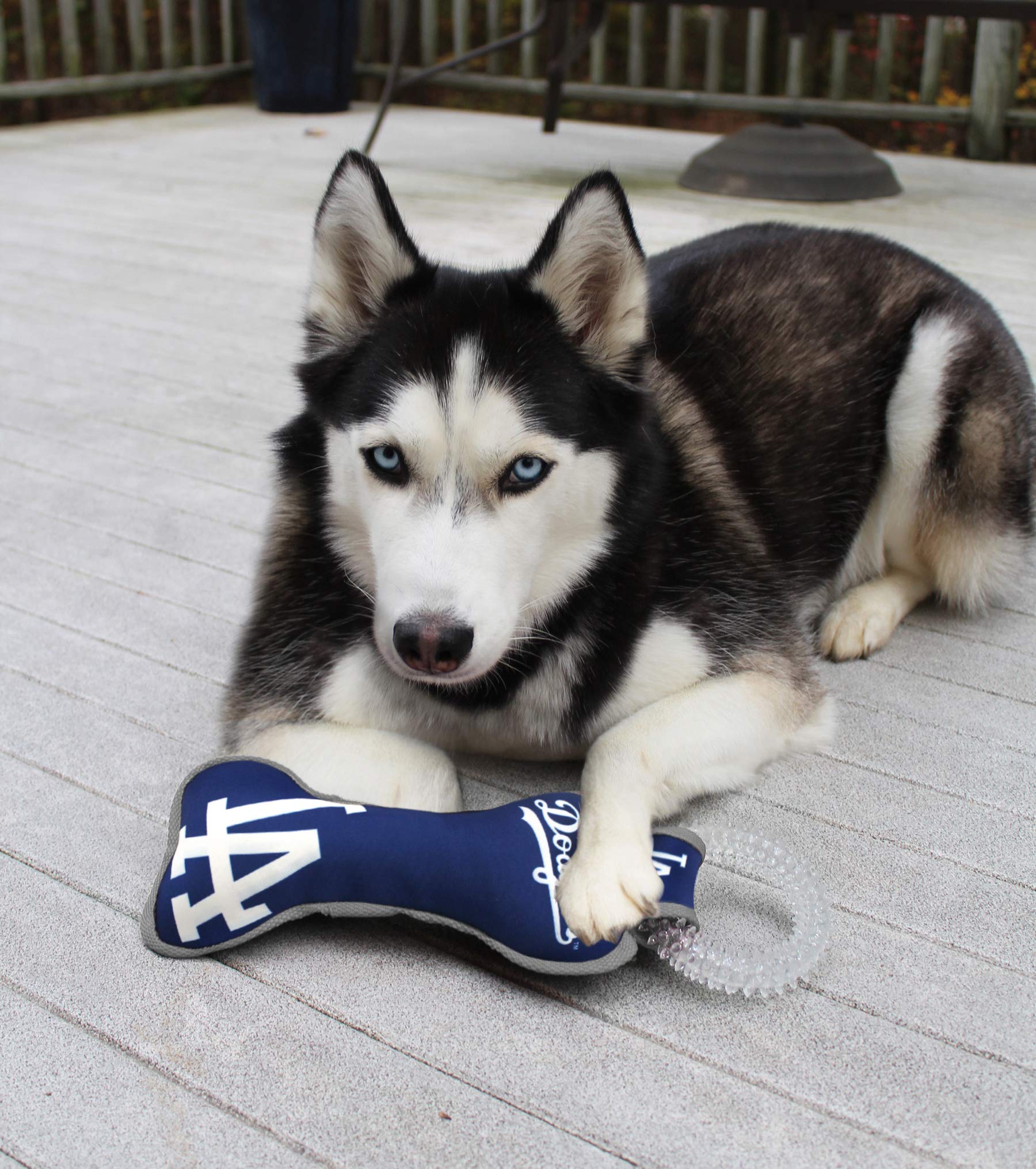 Mlb Los Angeles Dodgers Bone Shaped Dental Dog Tug Toy With Squeaker. Tough Pet Toy For Healthy Fun, Teething, And Cleaning Pet'