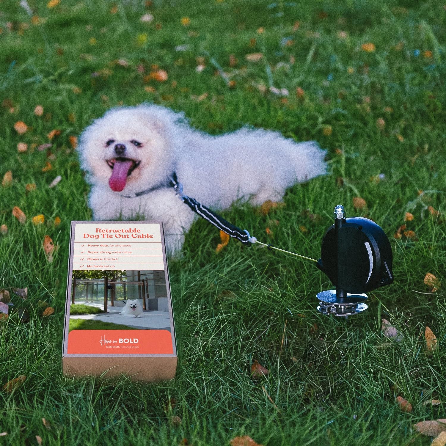 Heavy-Duty Retractable Dog Tie Out Cable: The Ultimate Dog Line For Outside - Super Strong Tie Out Retractable Cable For Dogs.