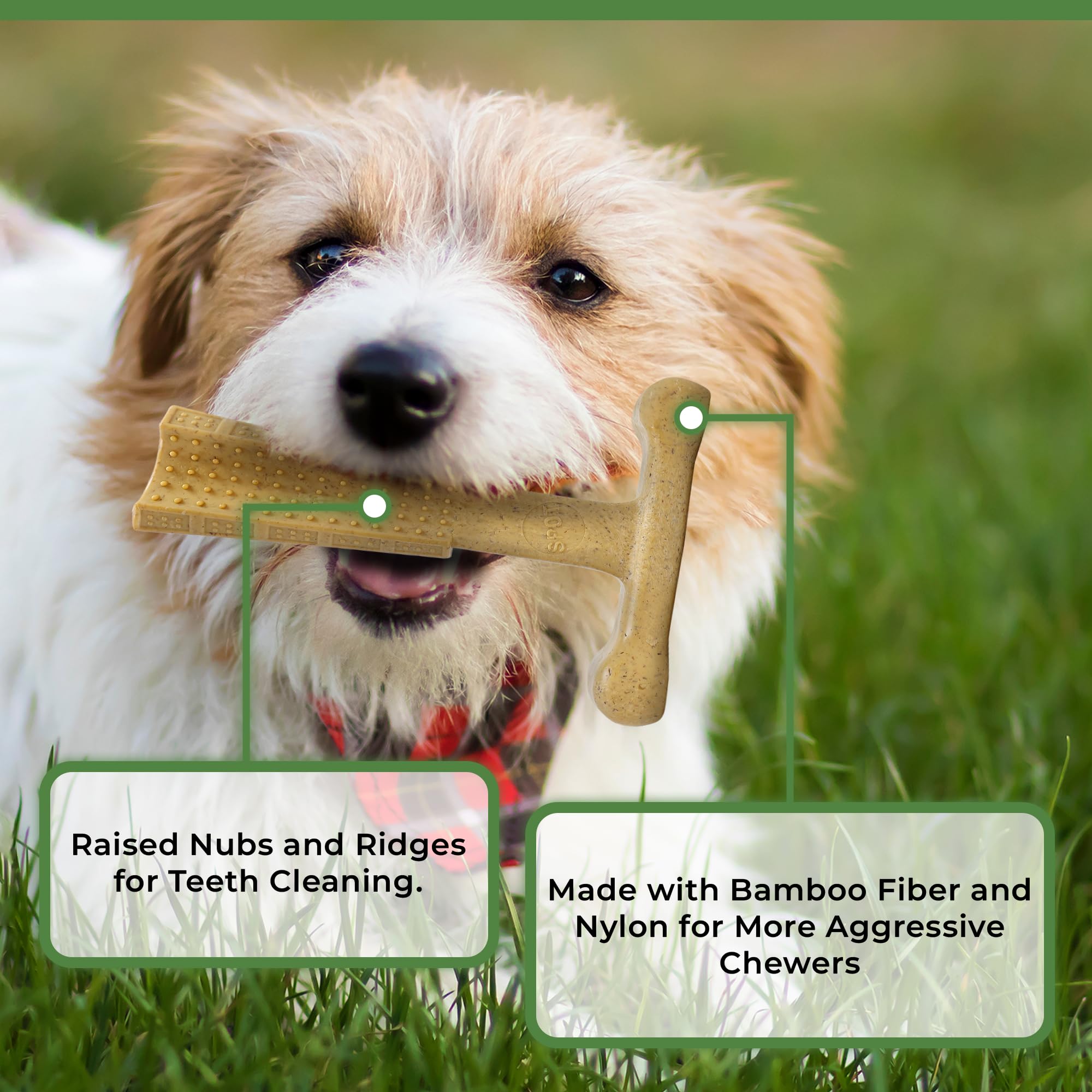 Spot Bambone Plus Chicken Dog Chew Toy Medium