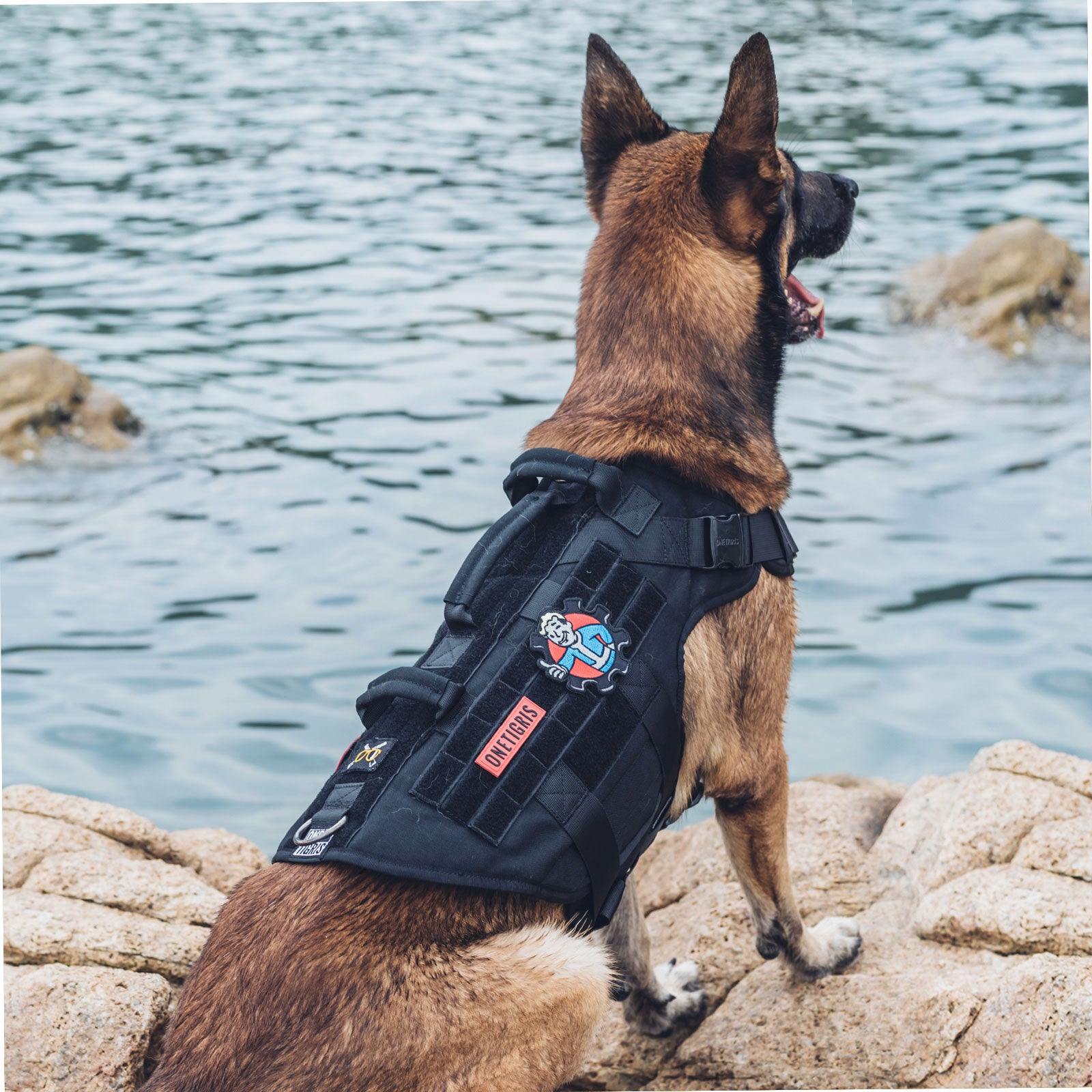 OneTigris Large Tactical Dog Harness, No Pulling Adjustable Dog Vest Harness, Heavy Duty Dog Harness with Handle, Large Hook and