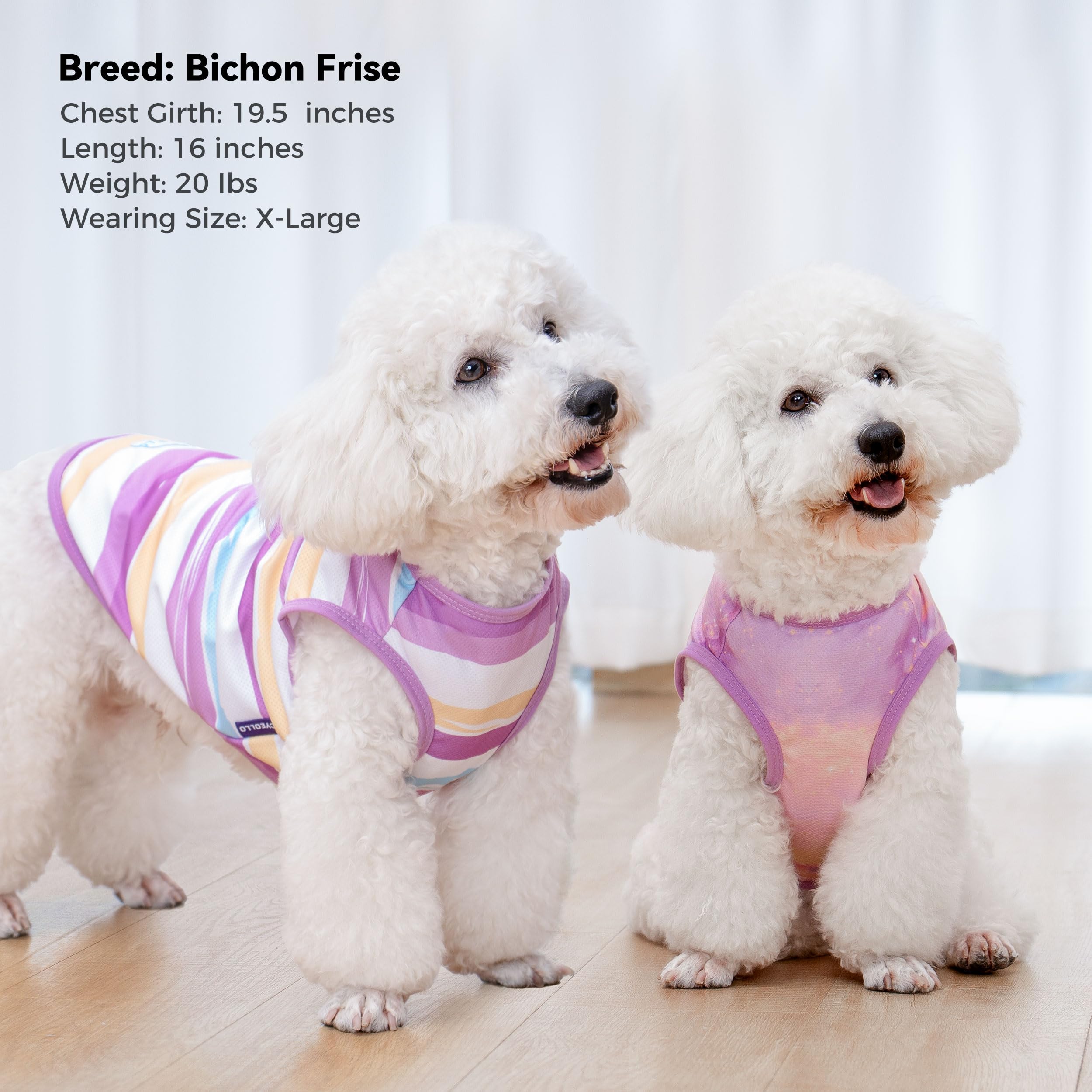 Cyeollo 2Pack Dog Shirt Cooling Breathable Sleeveless Summer Clothes For Dogs, Intant Cool T Shirts For Medium Large Dogs, Purpl