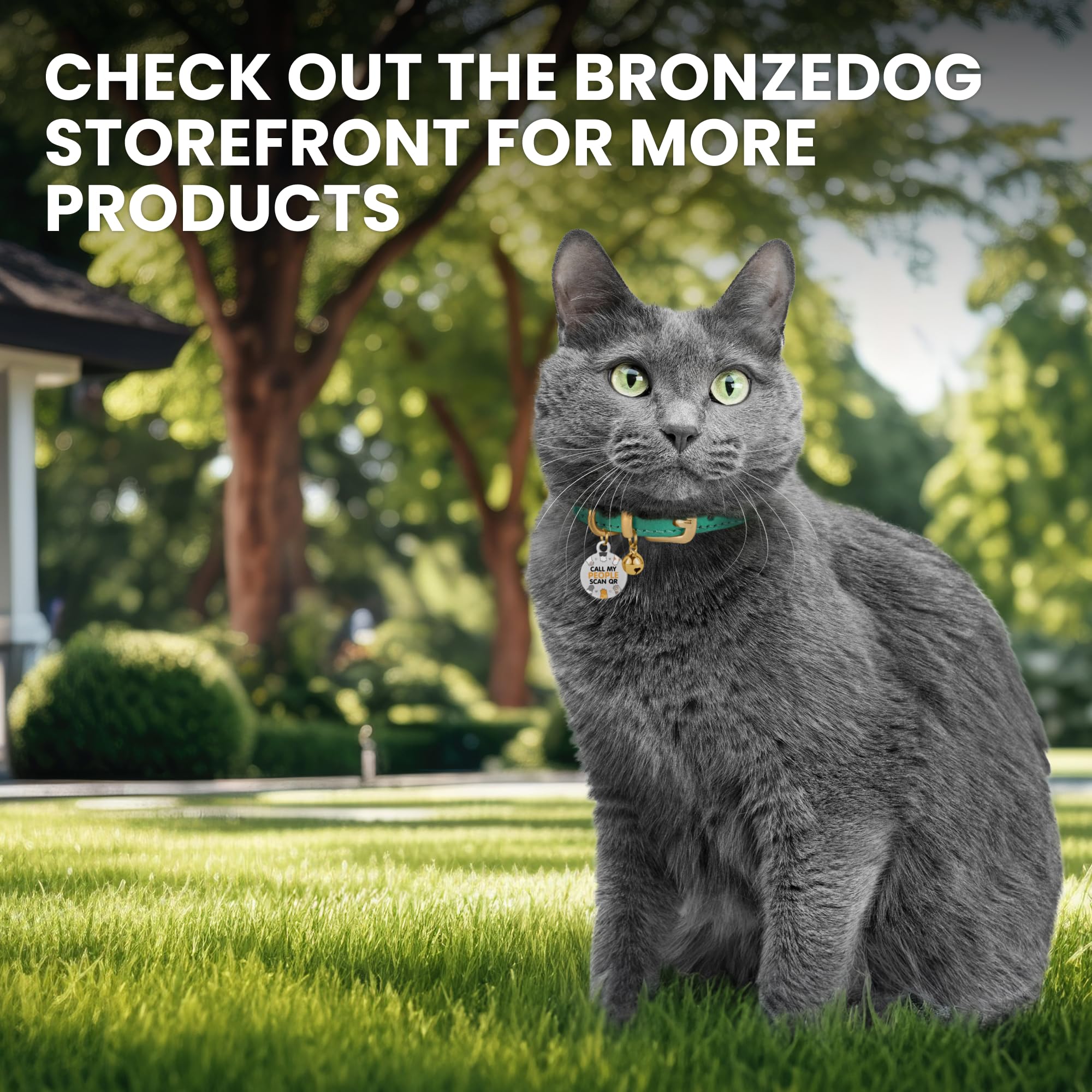 Bronzedog Leather Cat Collar With Removable Bells Non Breakaway Kitten Qr Tag For Girl Boy (9' - 12' Cats/Mini Dogs, Red & Silver)
