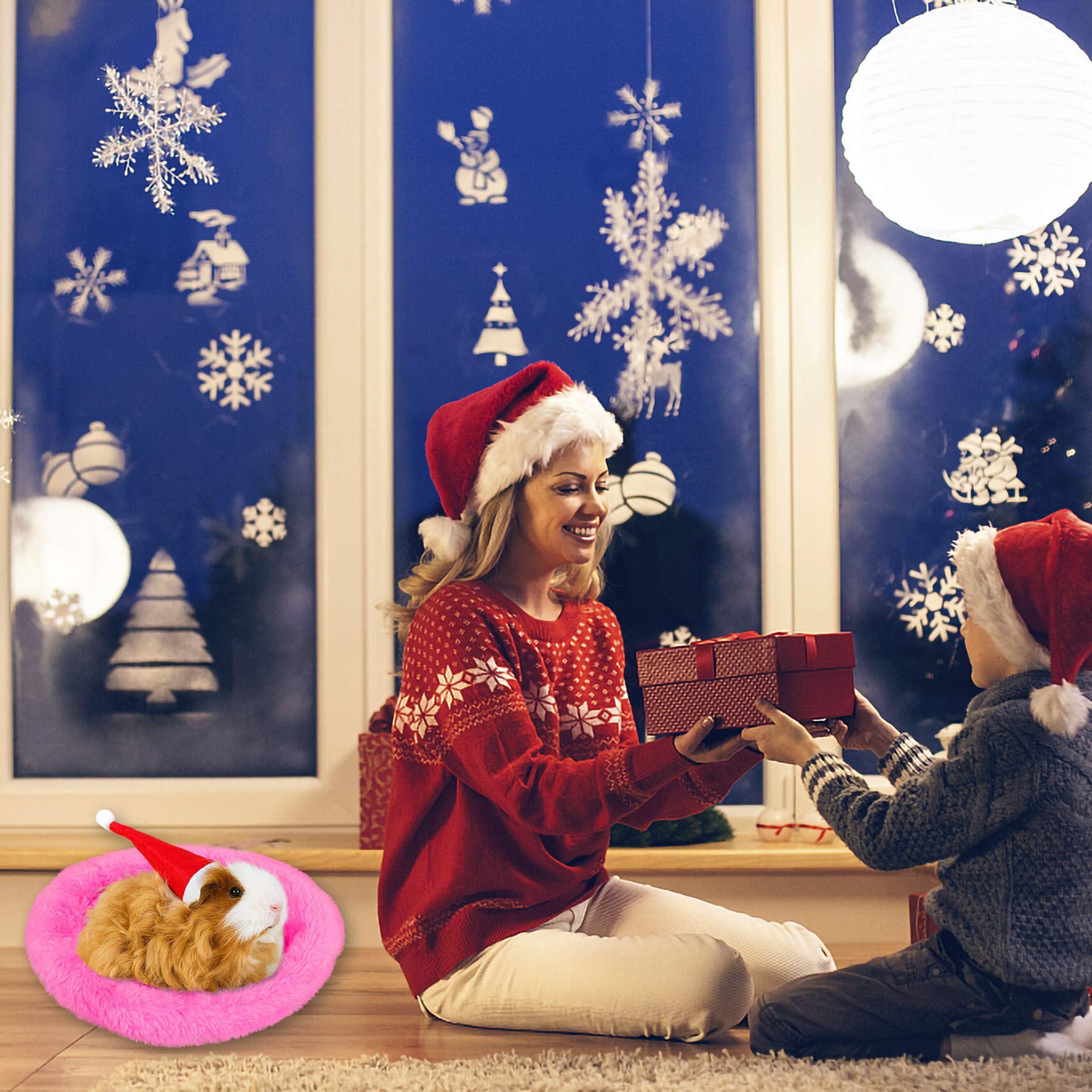 FEBSNOW Guinea Pig & Hamster Beds - Hedgehog, Squirrel & Tortoise/Lizard Beds